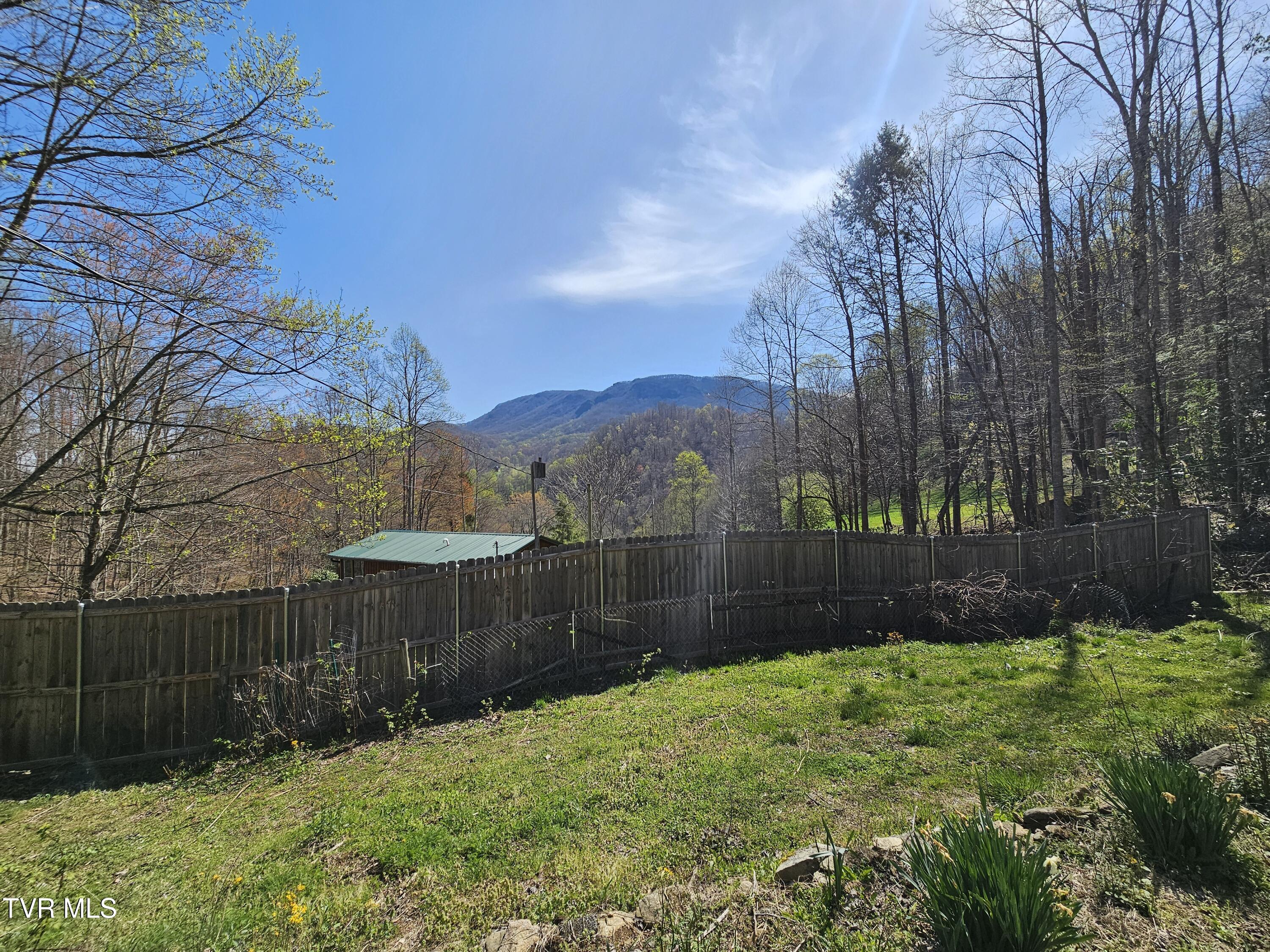 149 Doty Road, Roan Mountain, Tennessee image 6