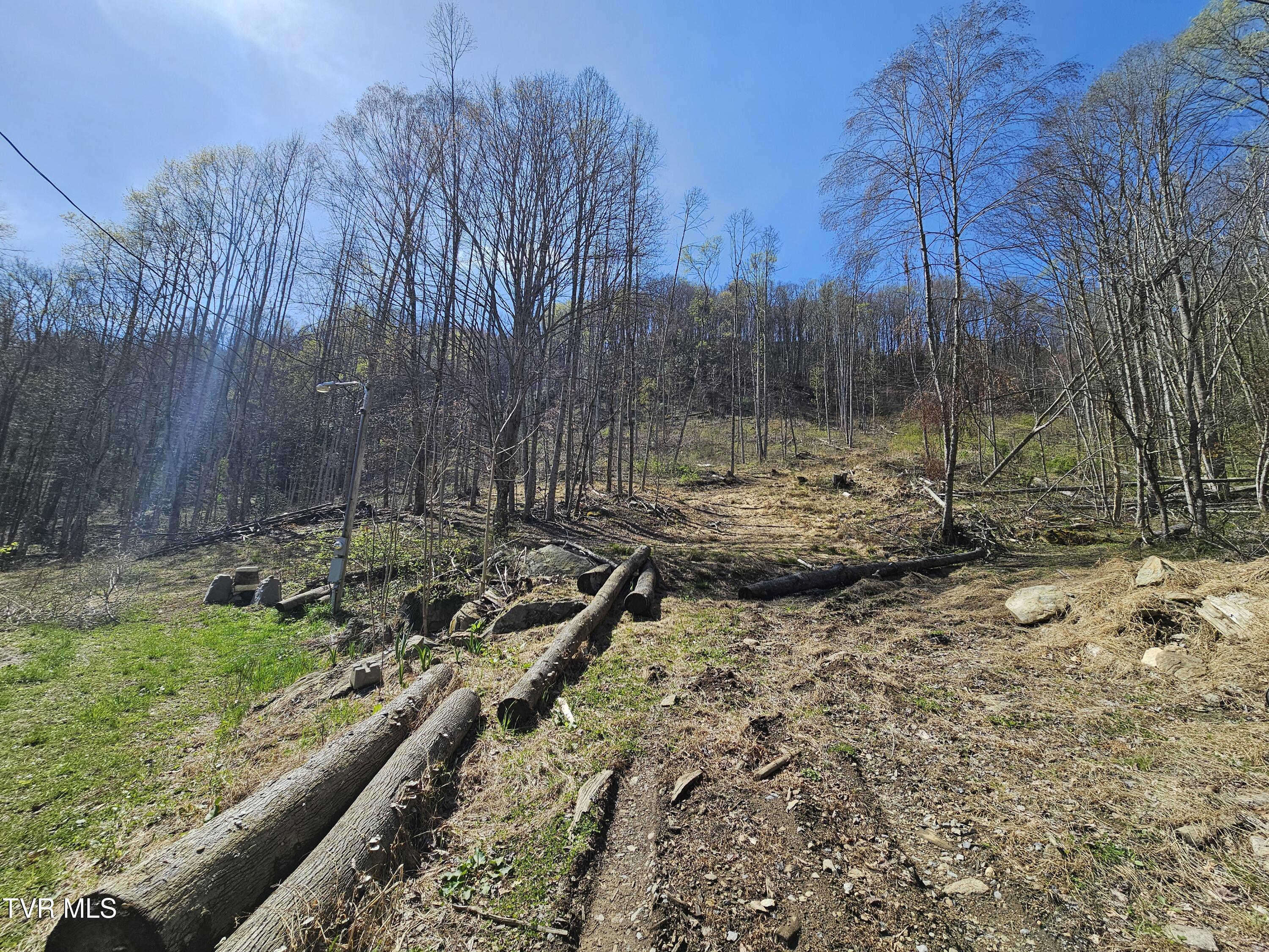 149 Doty Road, Roan Mountain, Tennessee image 33