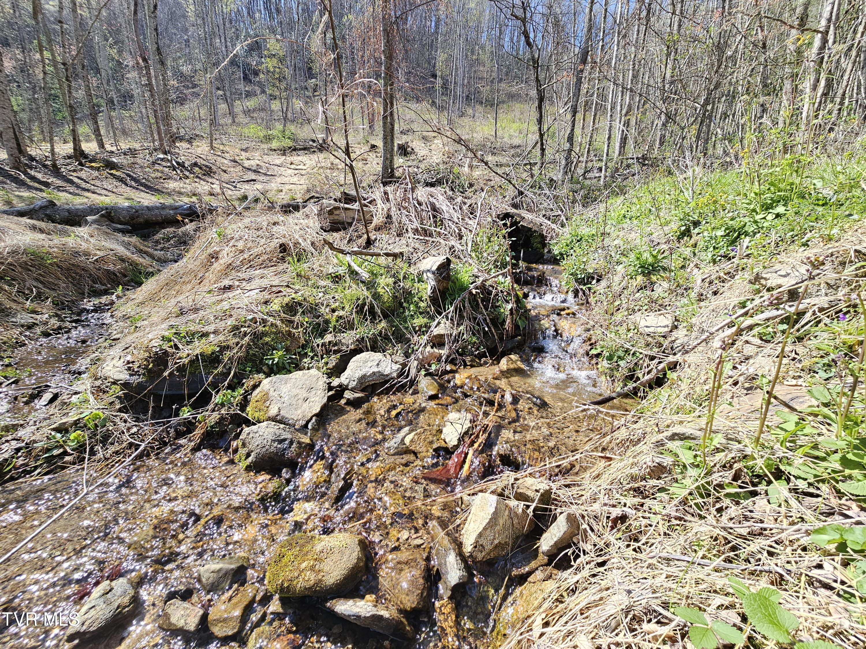 149 Doty Road, Roan Mountain, Tennessee image 34