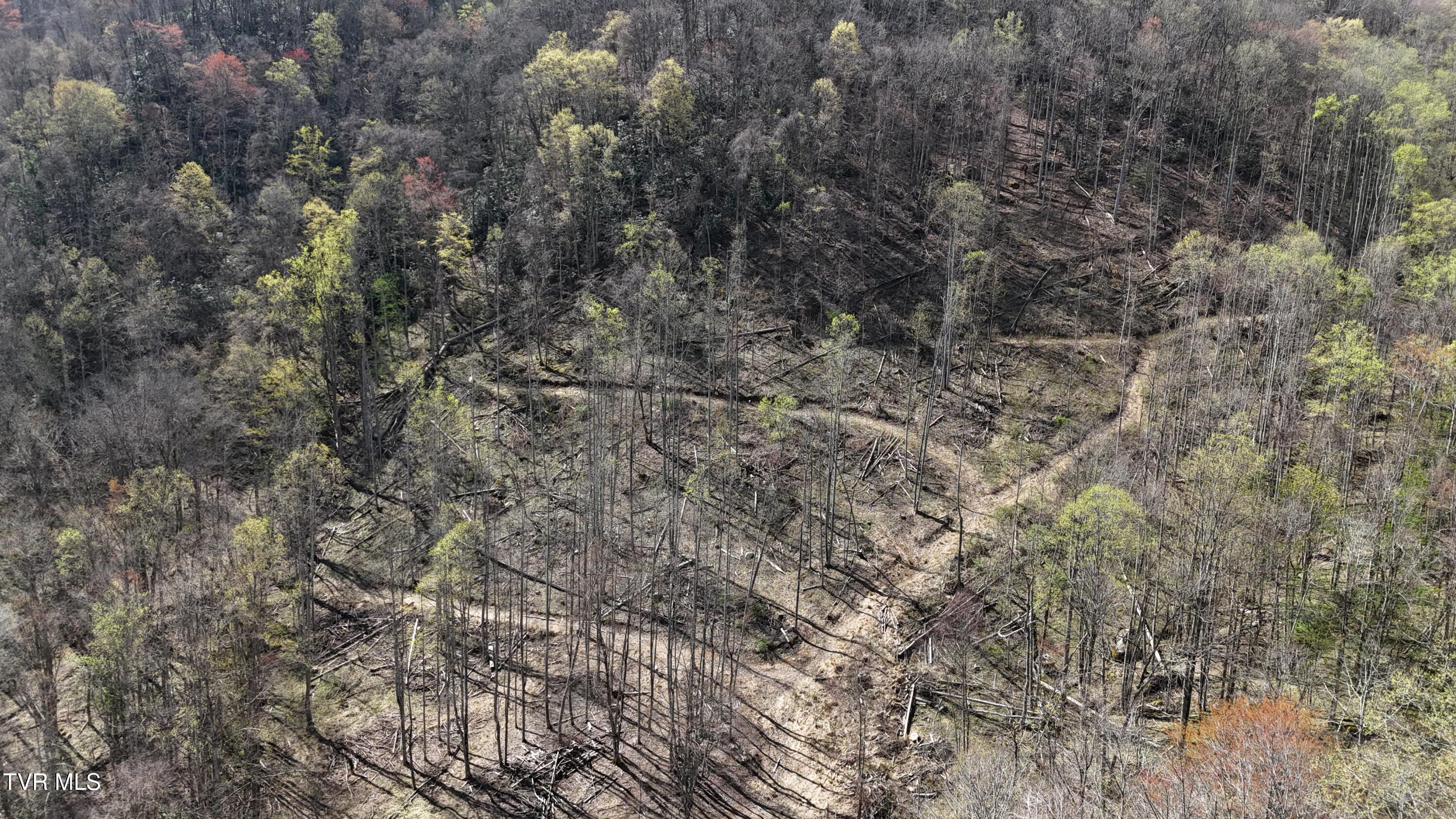 149 Doty Road, Roan Mountain, Tennessee image 38