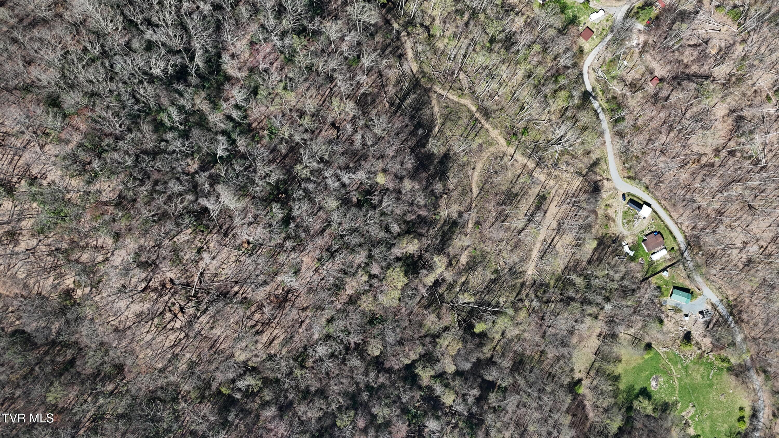 149 Doty Road, Roan Mountain, Tennessee image 42