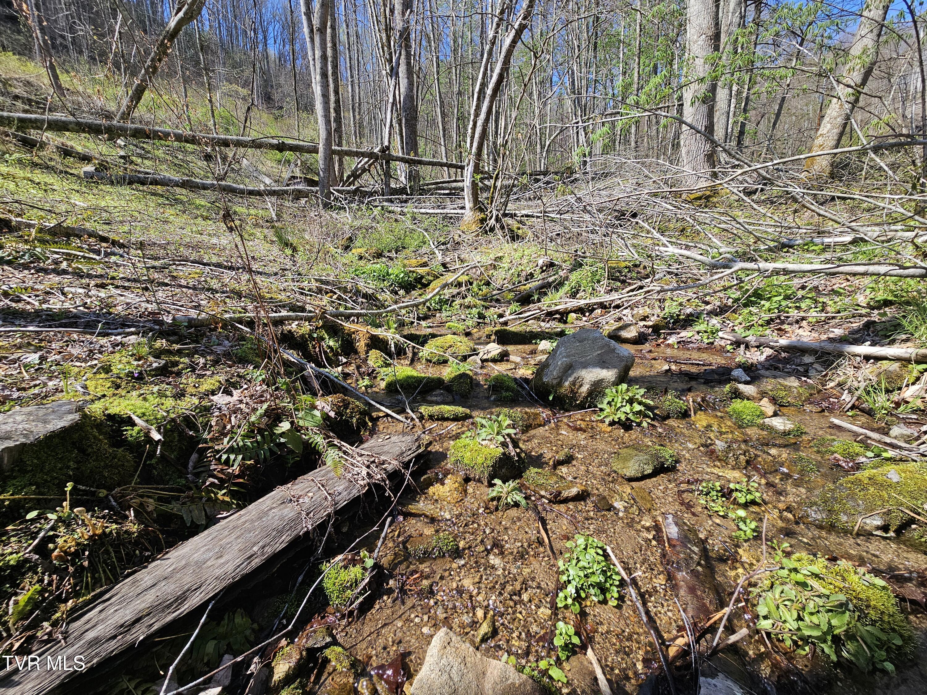 149 Doty Road, Roan Mountain, Tennessee image 35