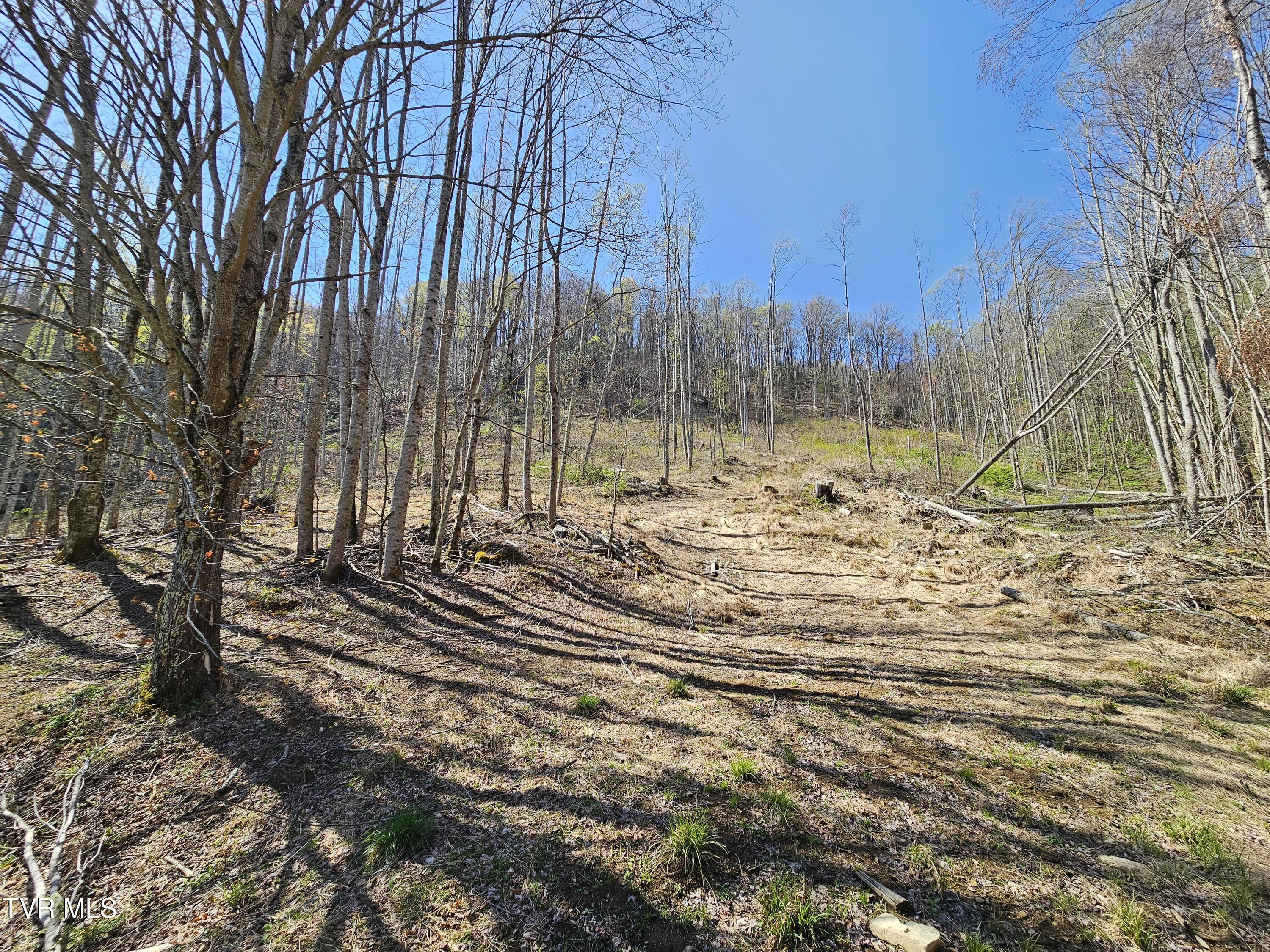 149 Doty Road, Roan Mountain, Tennessee image 36