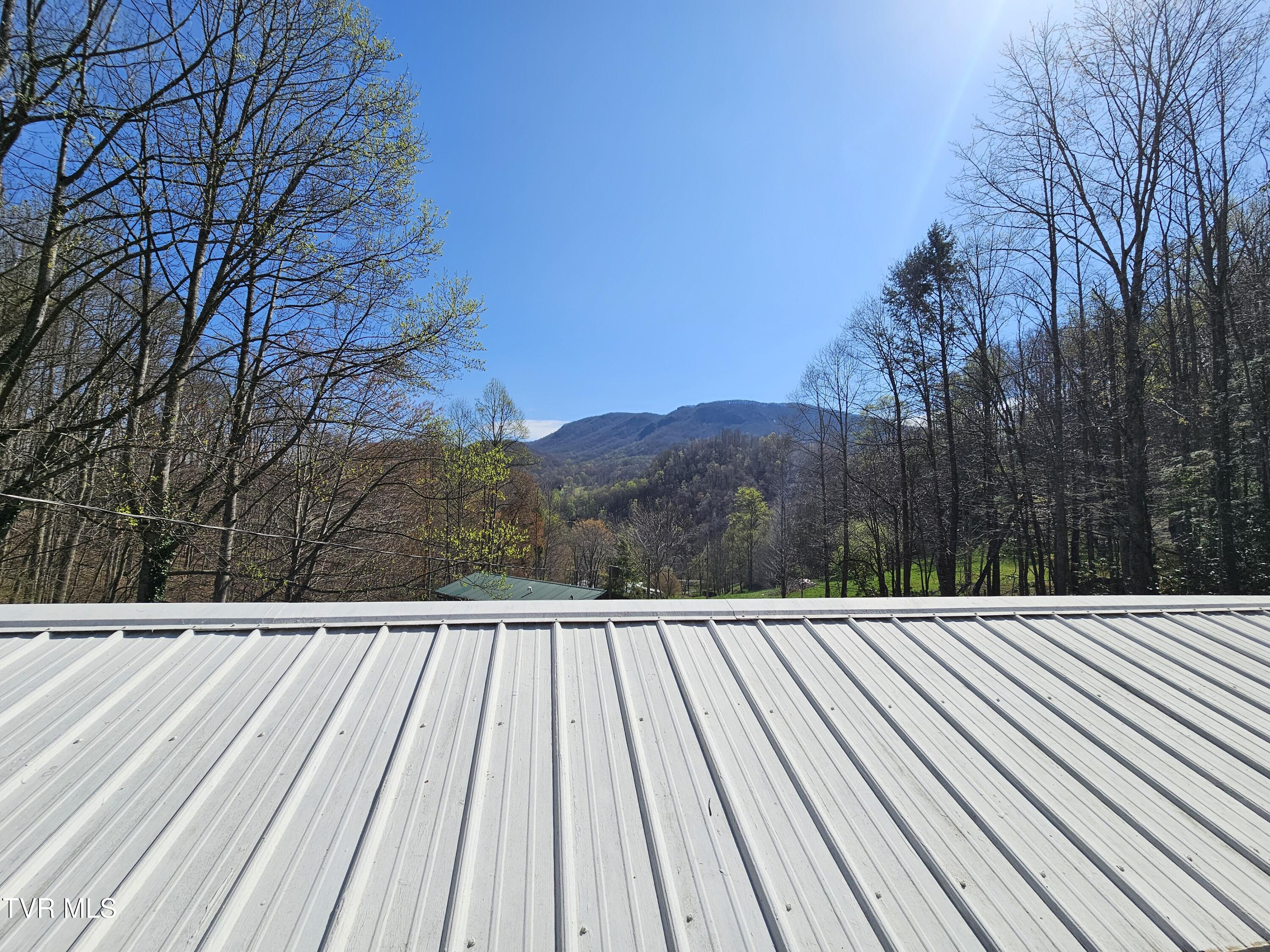 149 Doty Road, Roan Mountain, Tennessee image 30