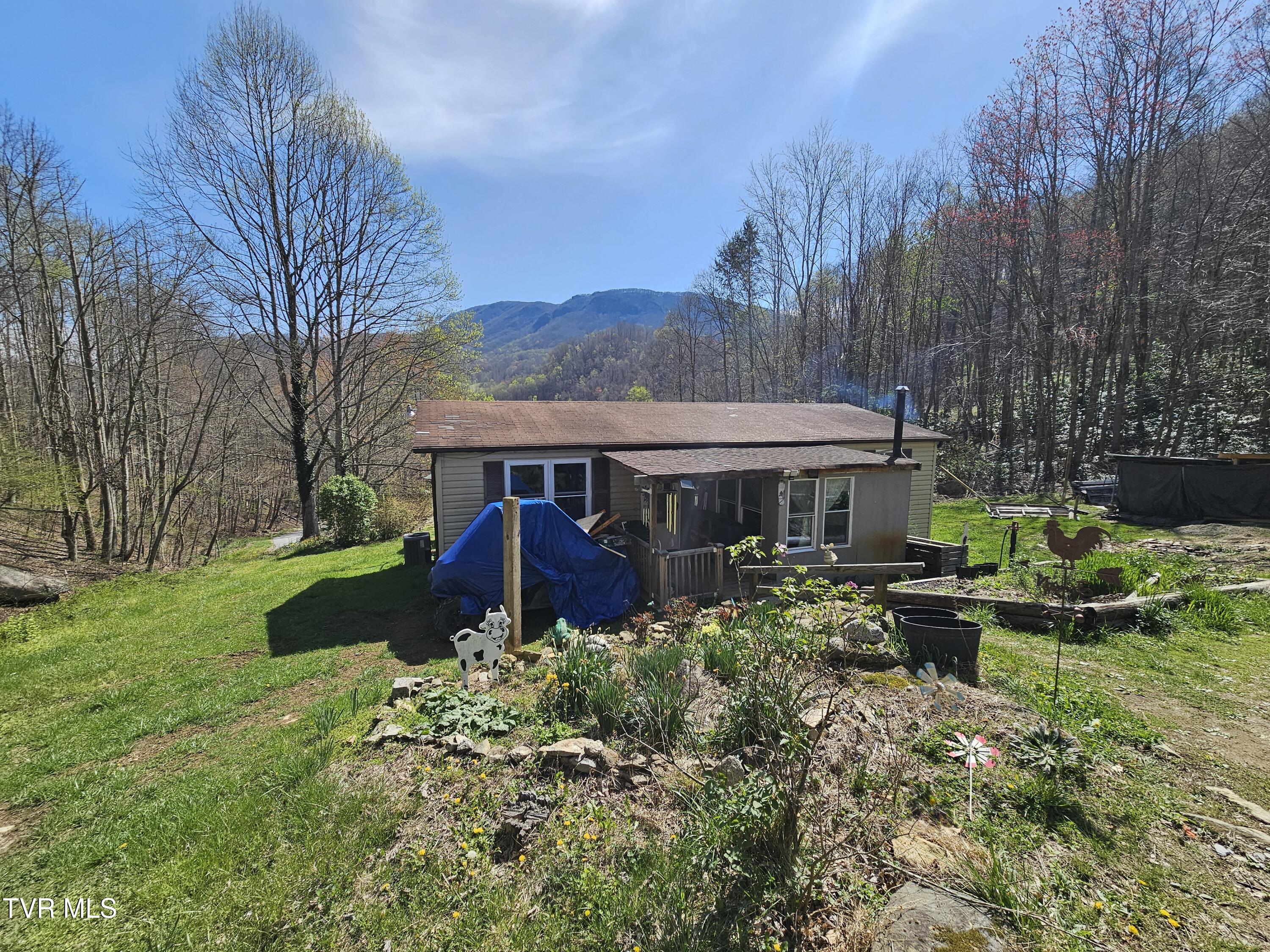 149 Doty Road, Roan Mountain, Tennessee image 1