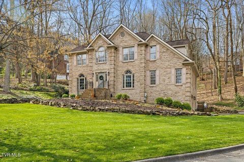 Photo of 1801 Bramblewood Drive, Kingsport, TN 37660 (MLS # 9993055)