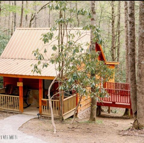 154 State Highway 143 Roan Mountain TN 37687