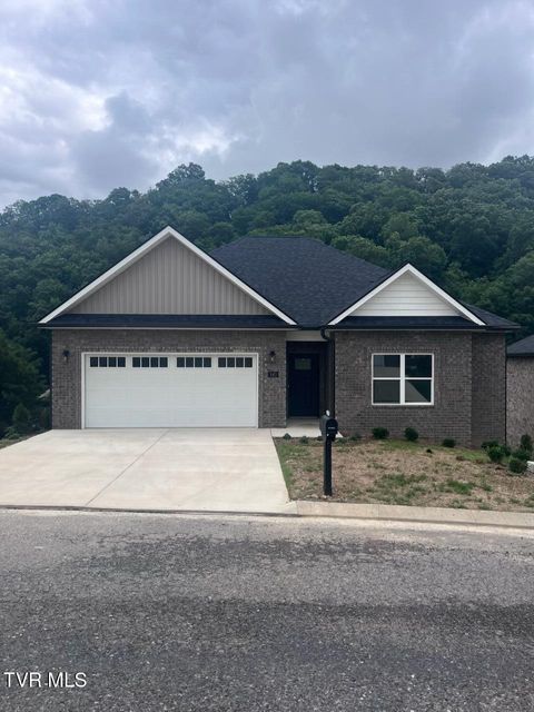 Photo of 143 Quiet Stroll Lane, Gray, TN 37615 (MLS # 9997371)