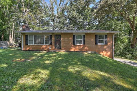 Photo of 119 Lynnwood Drive, Gray, TN 37615 (MLS # 9998263)