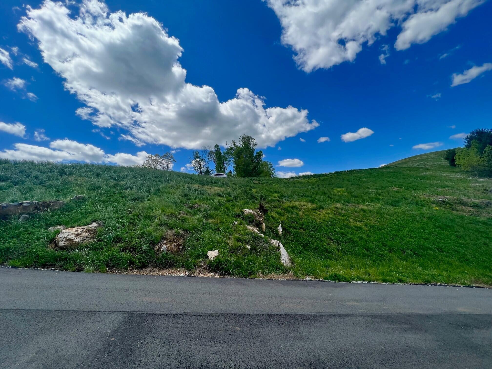 Lot 23 Cowan Town Rd, Butler, Tennessee image 6