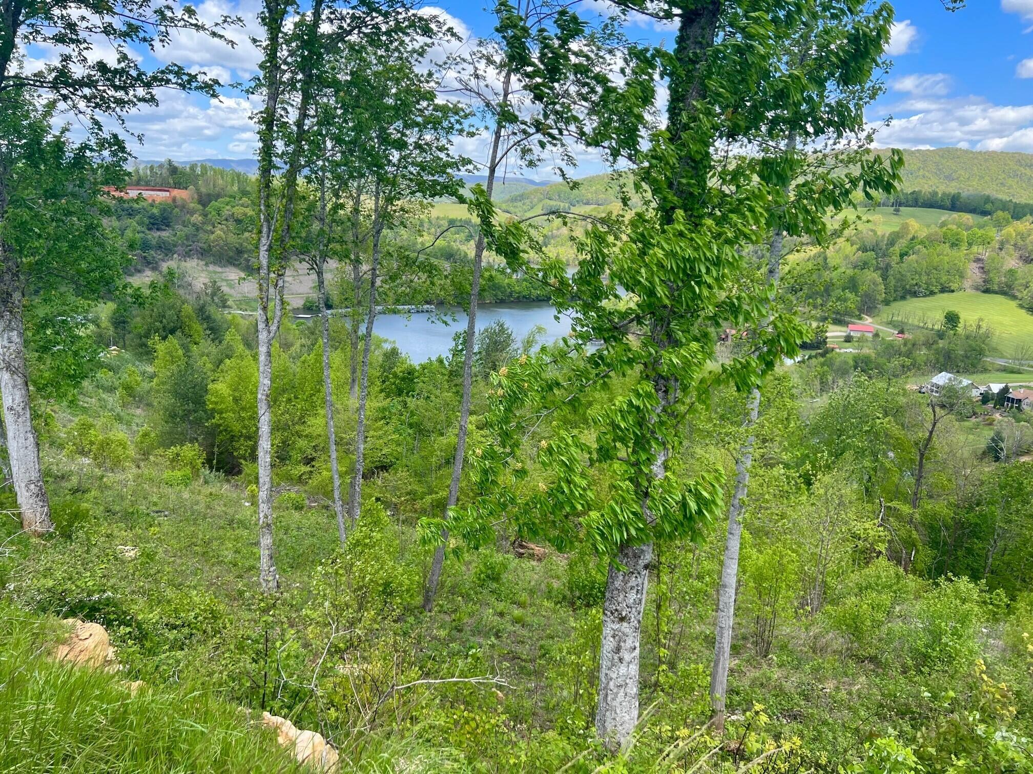 Lot 23 Cowan Town Rd, Butler, Tennessee image 7