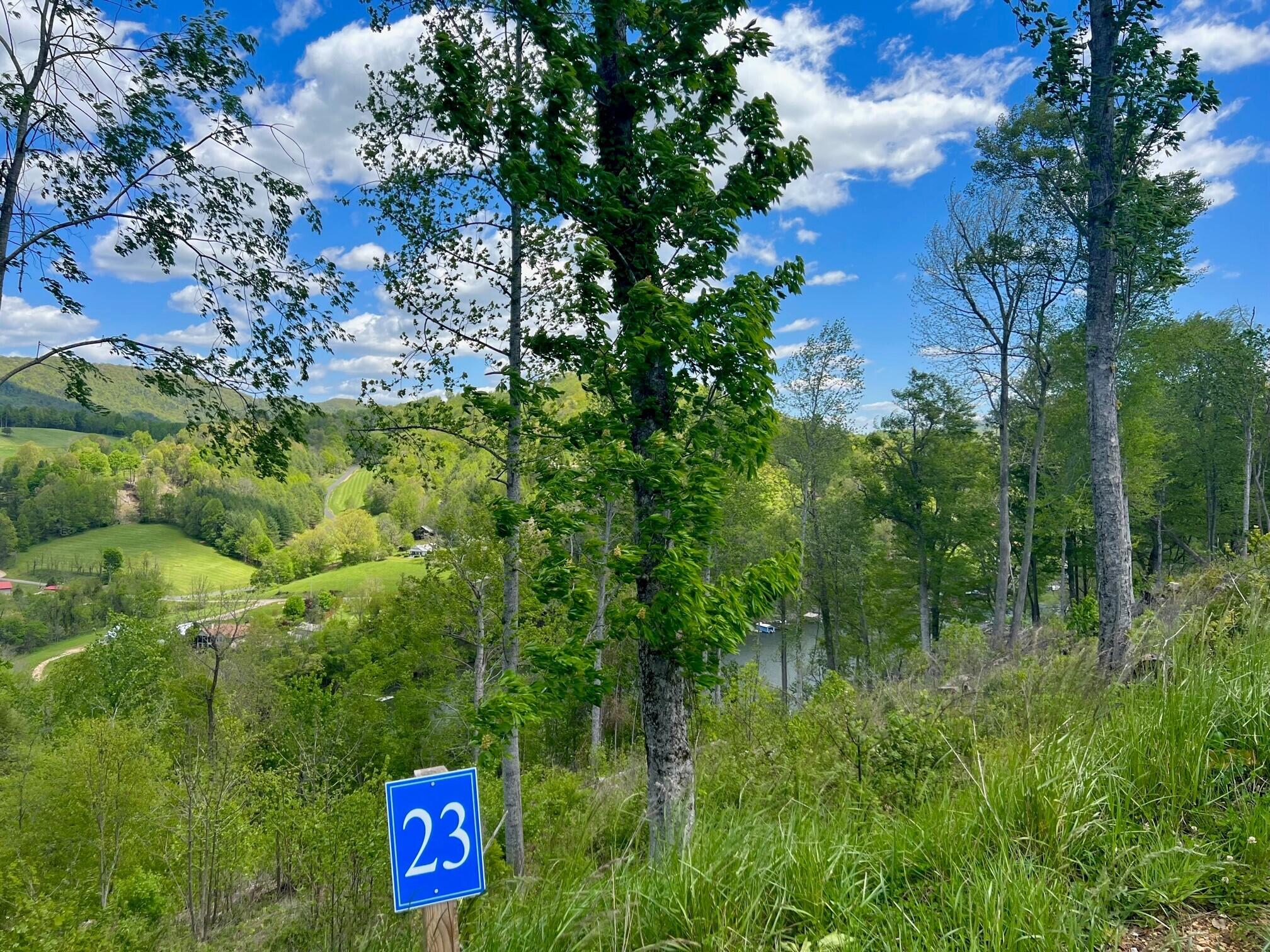 Lot 23 Cowan Town Rd, Butler, Tennessee image 4