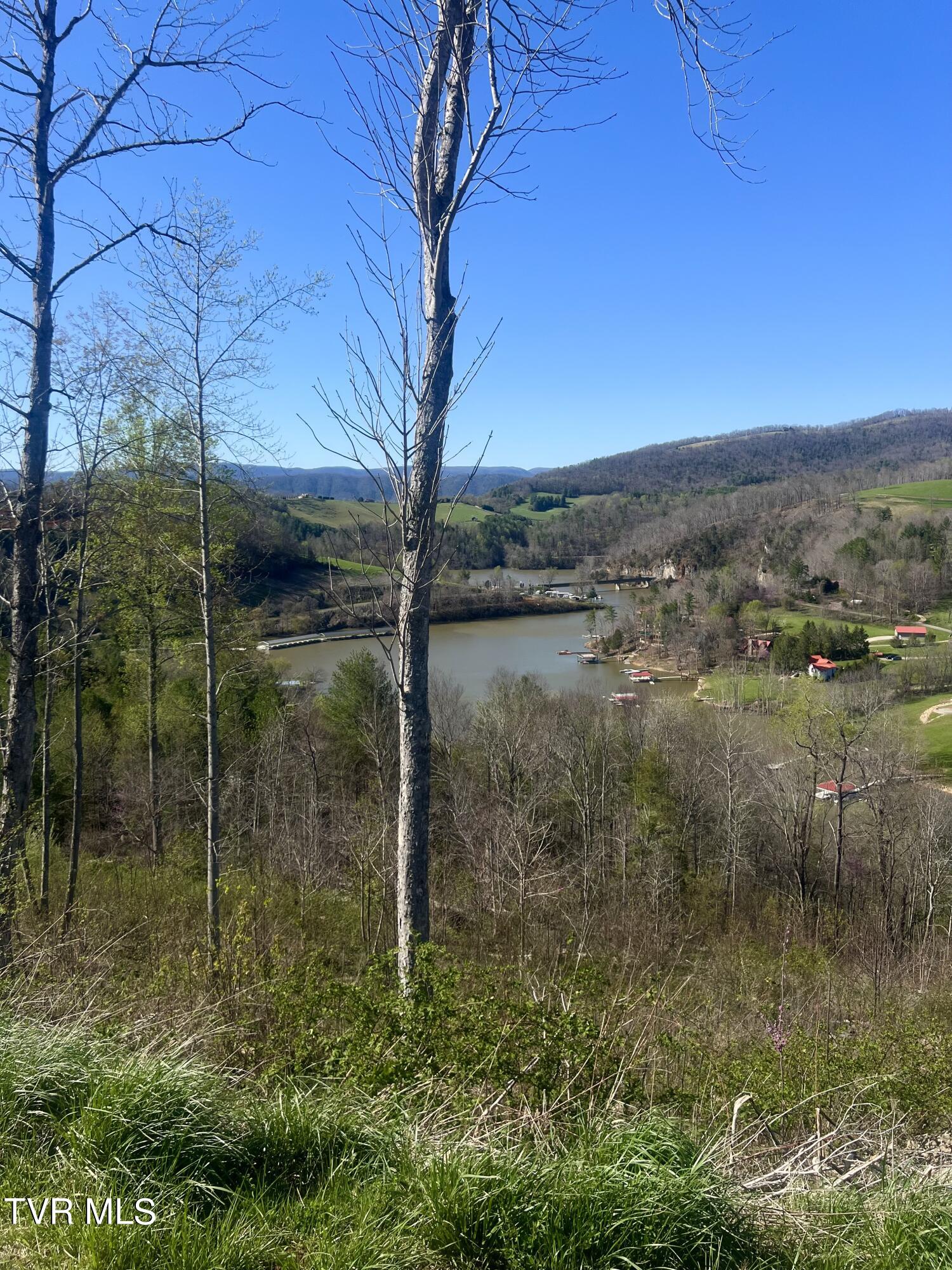 Lot 23 Cowan Town Rd, Butler, Tennessee image 15