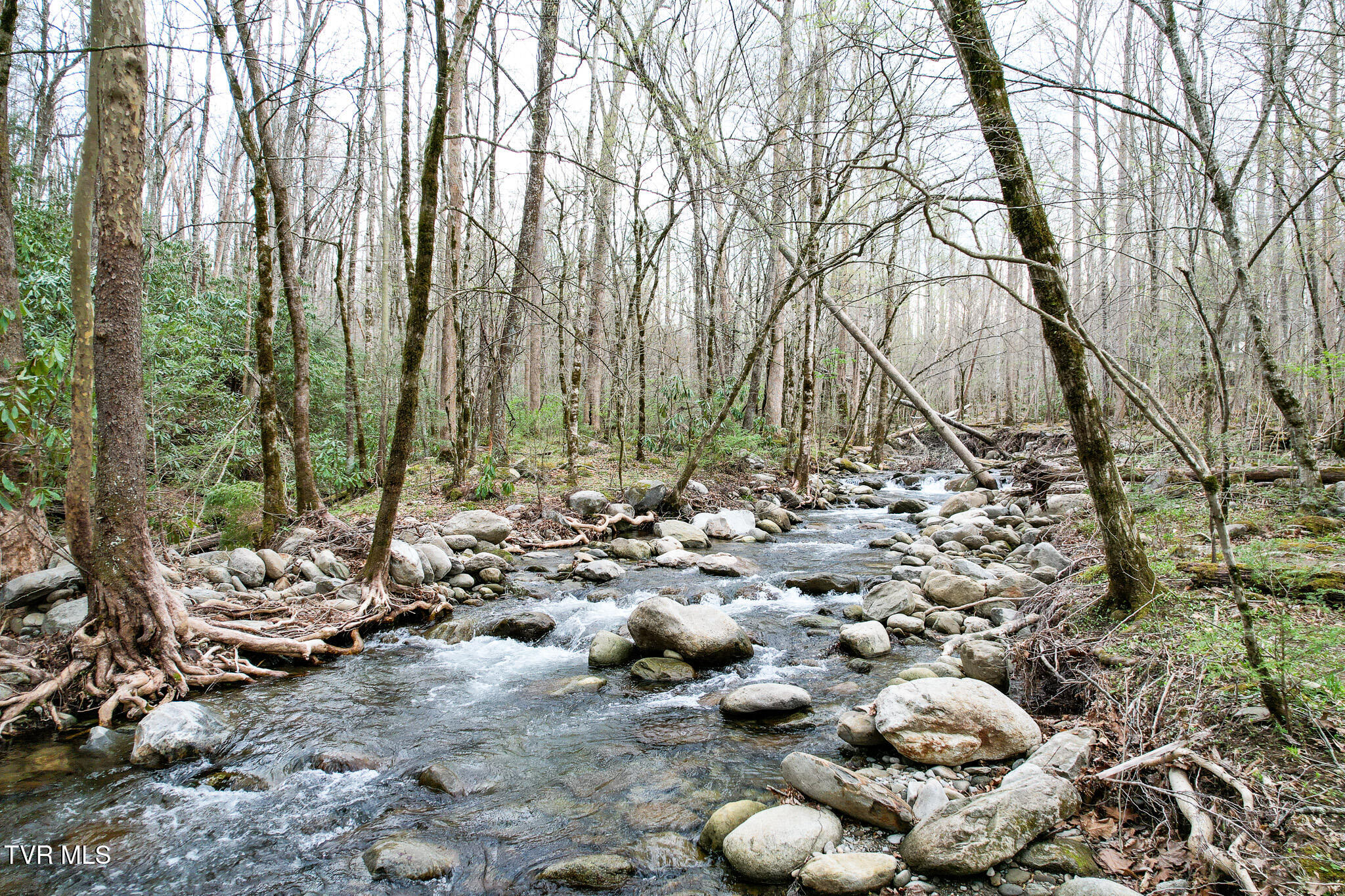 120 Misty Lane, Cosby, Tennessee image 31