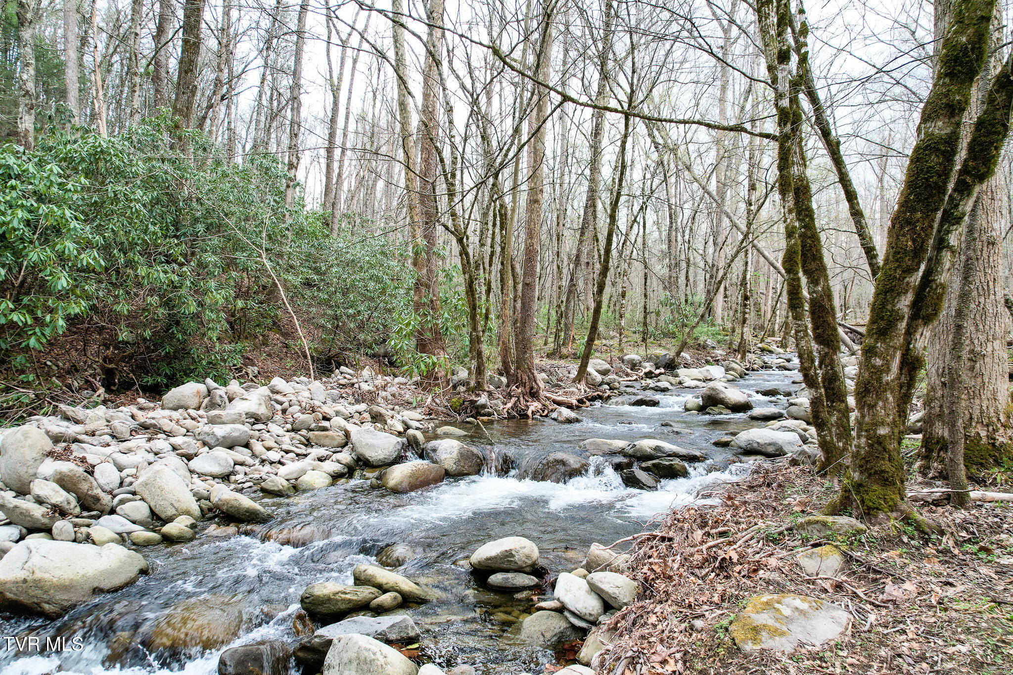 120 Misty Lane, Cosby, Tennessee image 3
