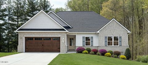 Photo of 447 Tortoise Way, Jonesborough, TN 37659 (MLS # 9994423)