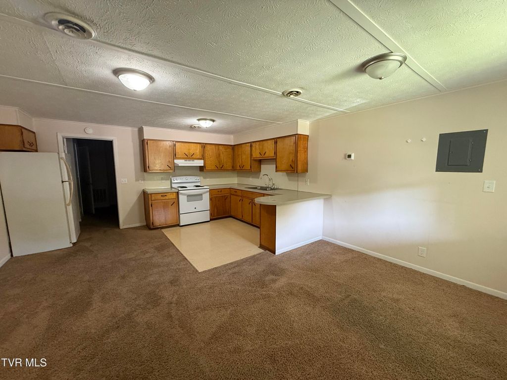 Photo of 1204 Bloomingdale Pike #1, Kingsport, TN 37660 (MLS # 9989759)