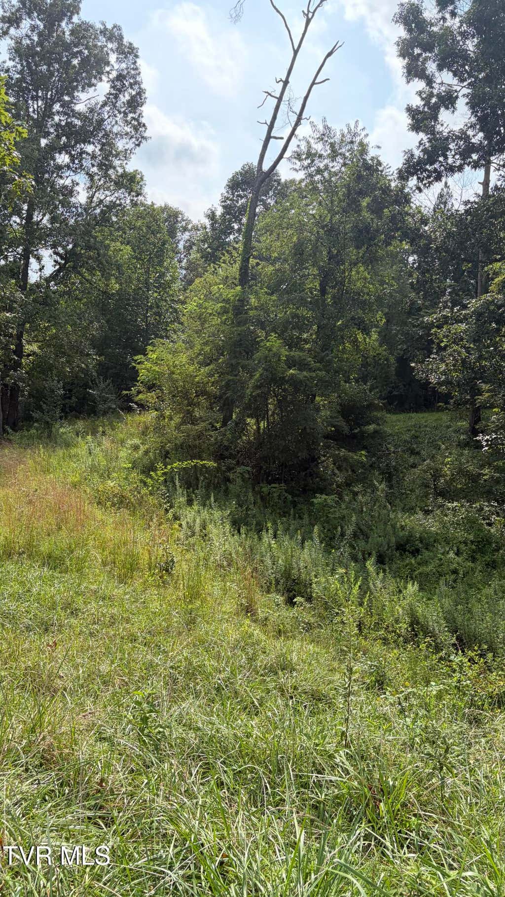 Photo of 175 Coby Lane, Johnson City, TN 37615 (MLS # 9999954)
