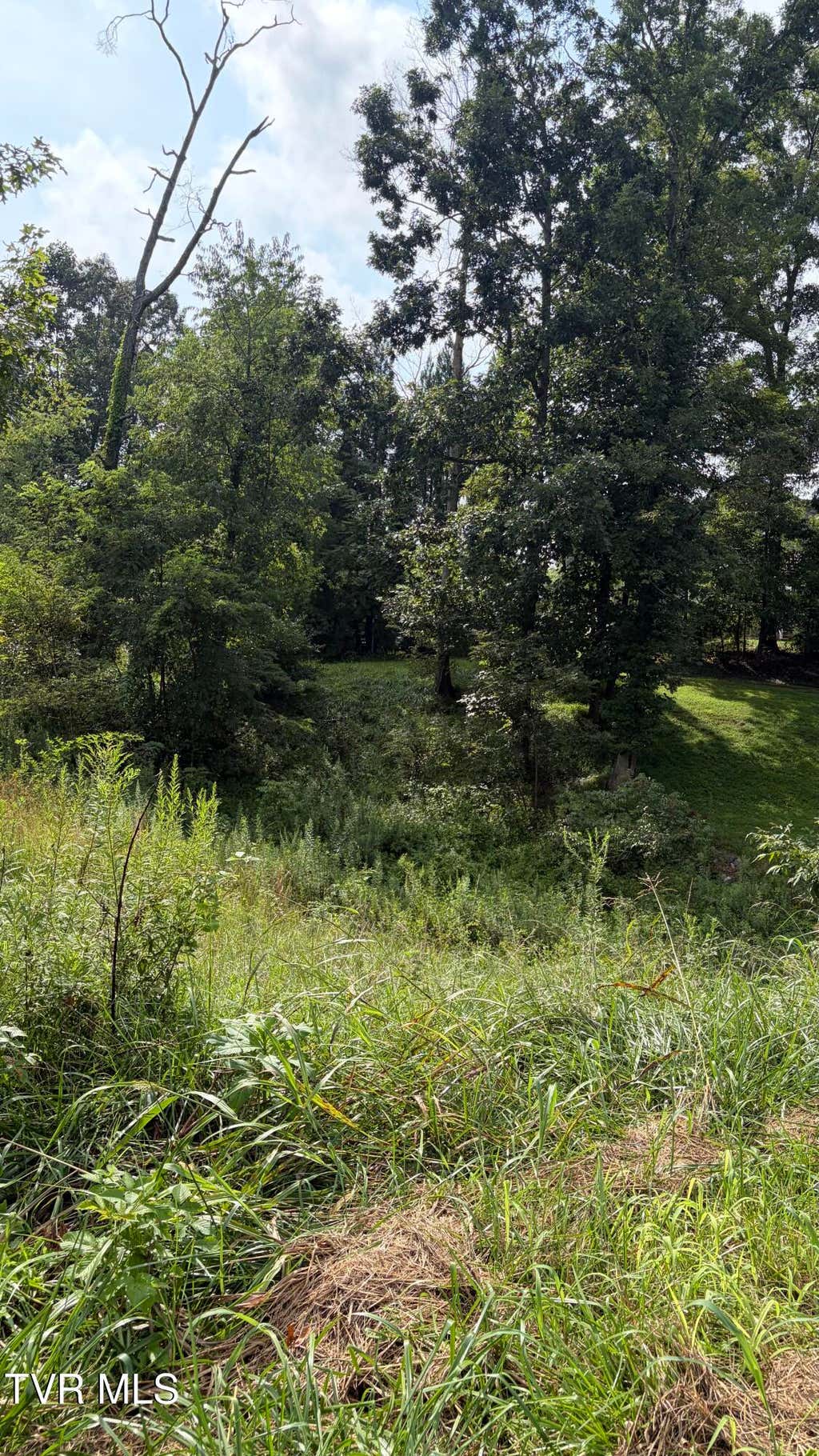 Photo of 175 Coby Lane, Johnson City, TN 37615 (MLS # 9999954)