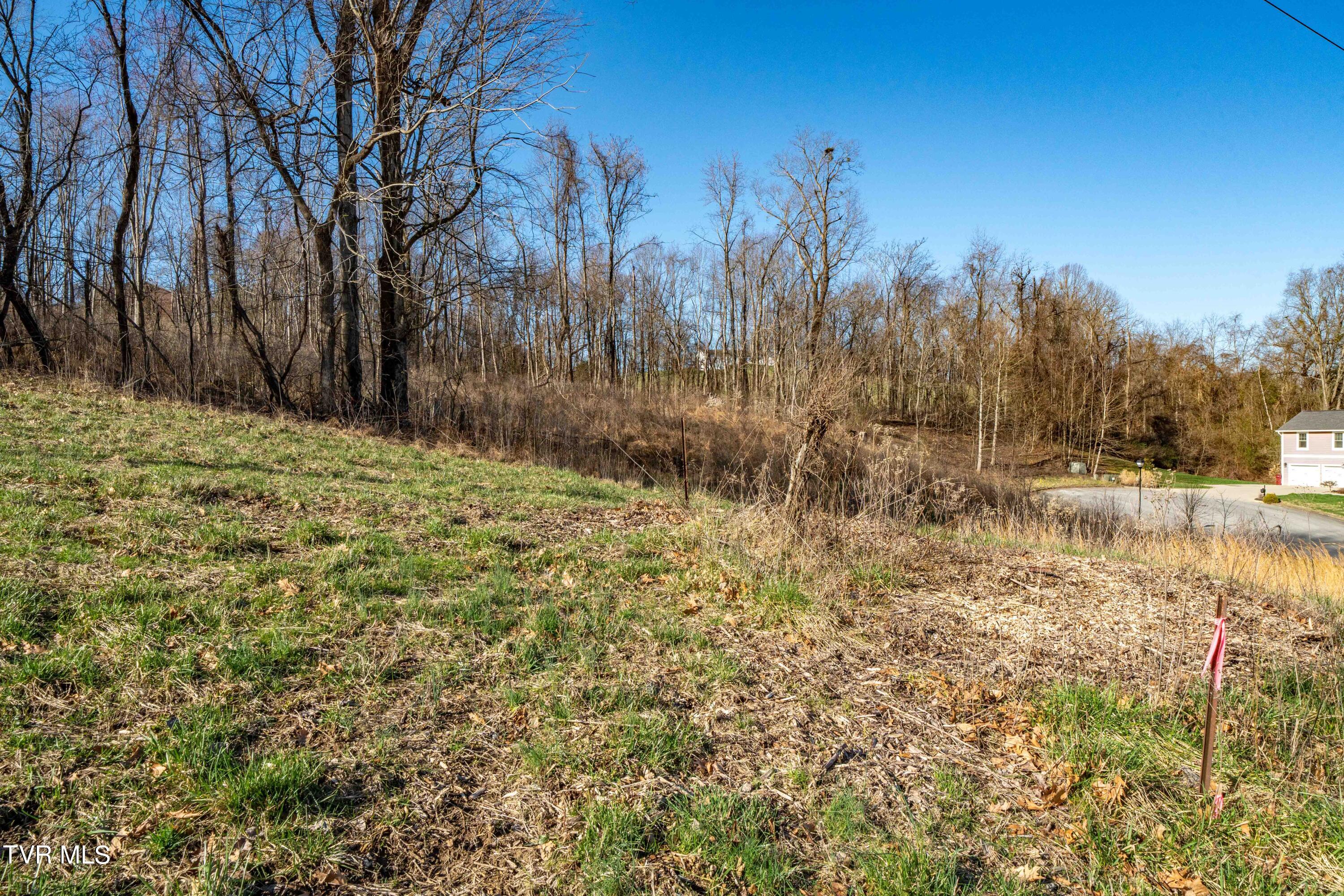 1579 Becky Drive, Johnson City, Tennessee image 20