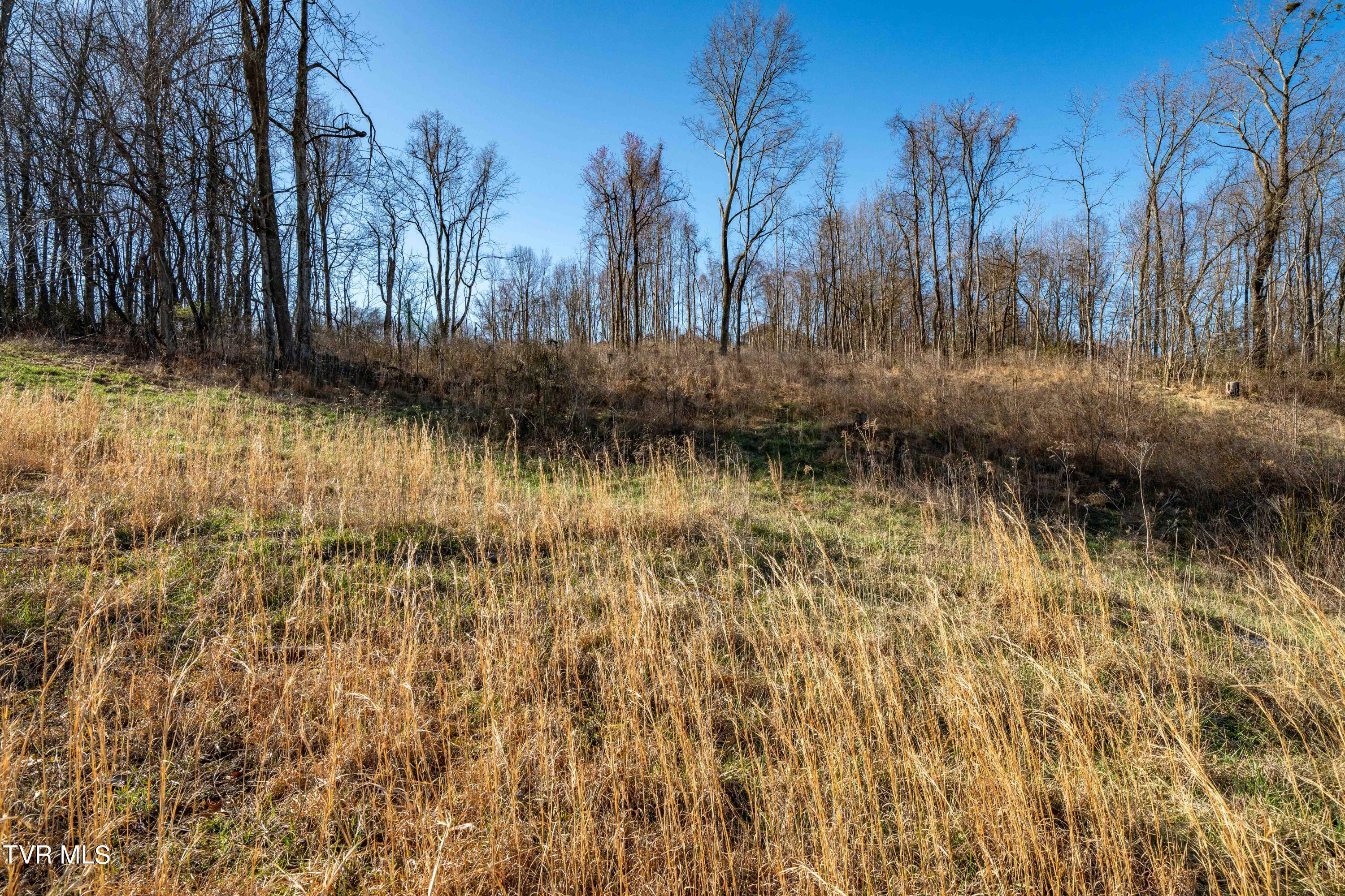1579 Becky Drive, Johnson City, Tennessee image 23