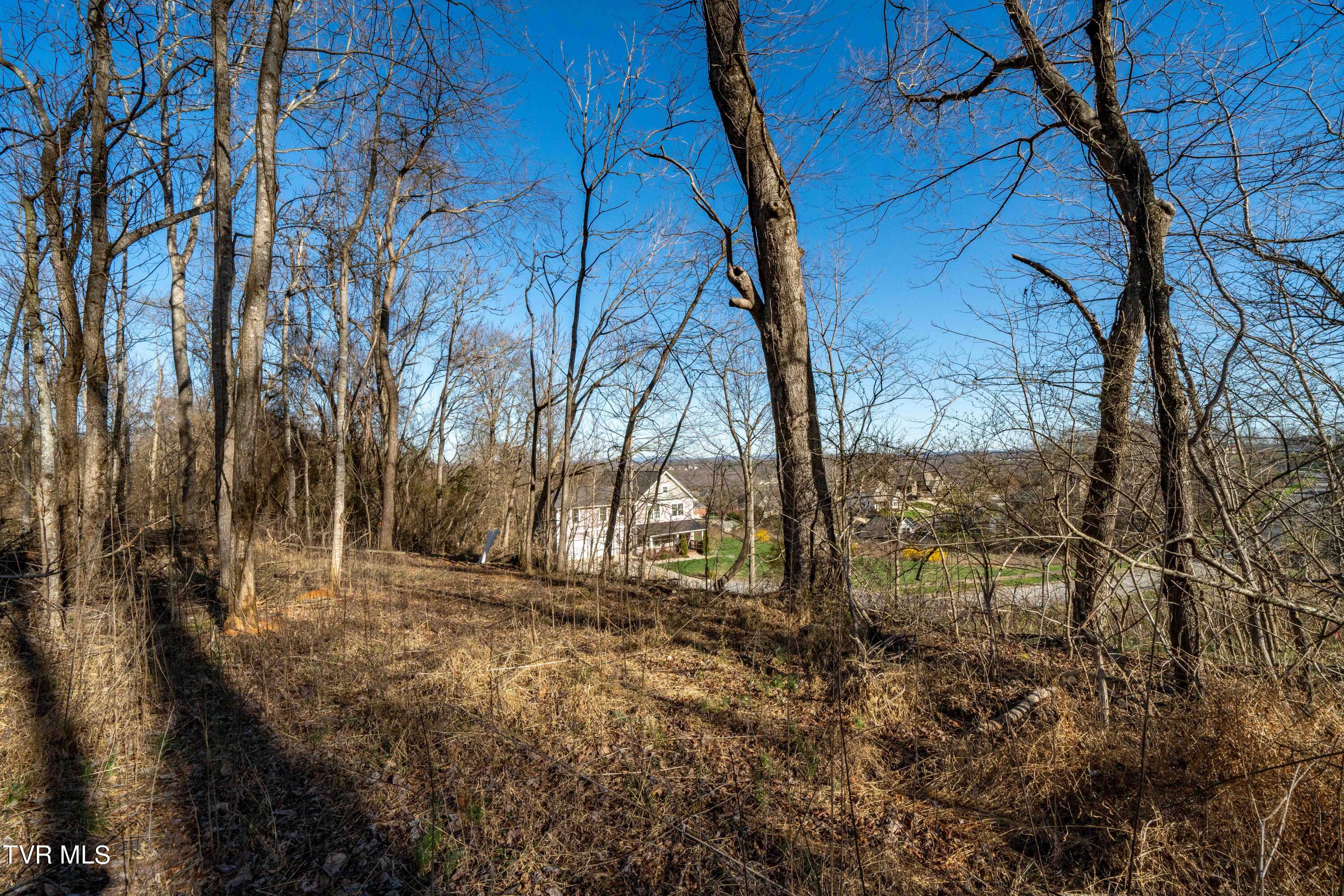 1579 Becky Drive, Johnson City, Tennessee image 14