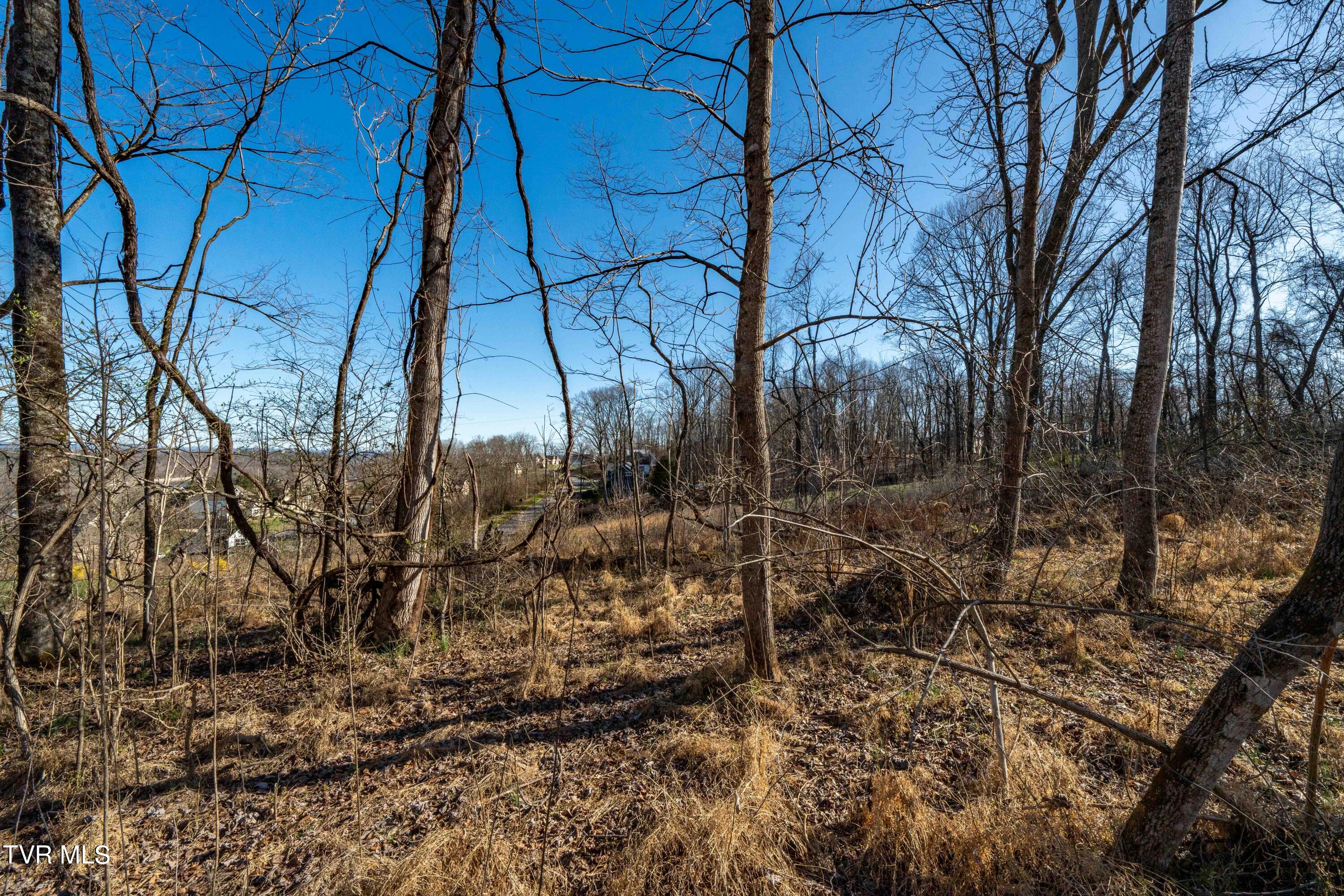 1579 Becky Drive, Johnson City, Tennessee image 15