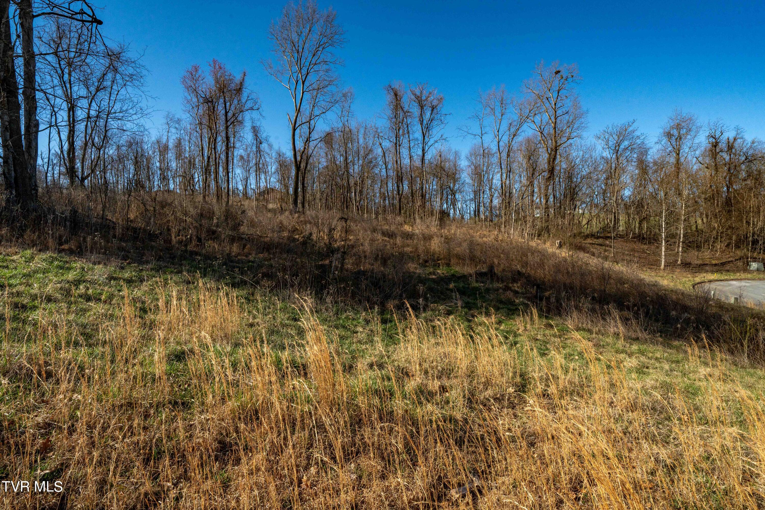 1579 Becky Drive, Johnson City, Tennessee image 26