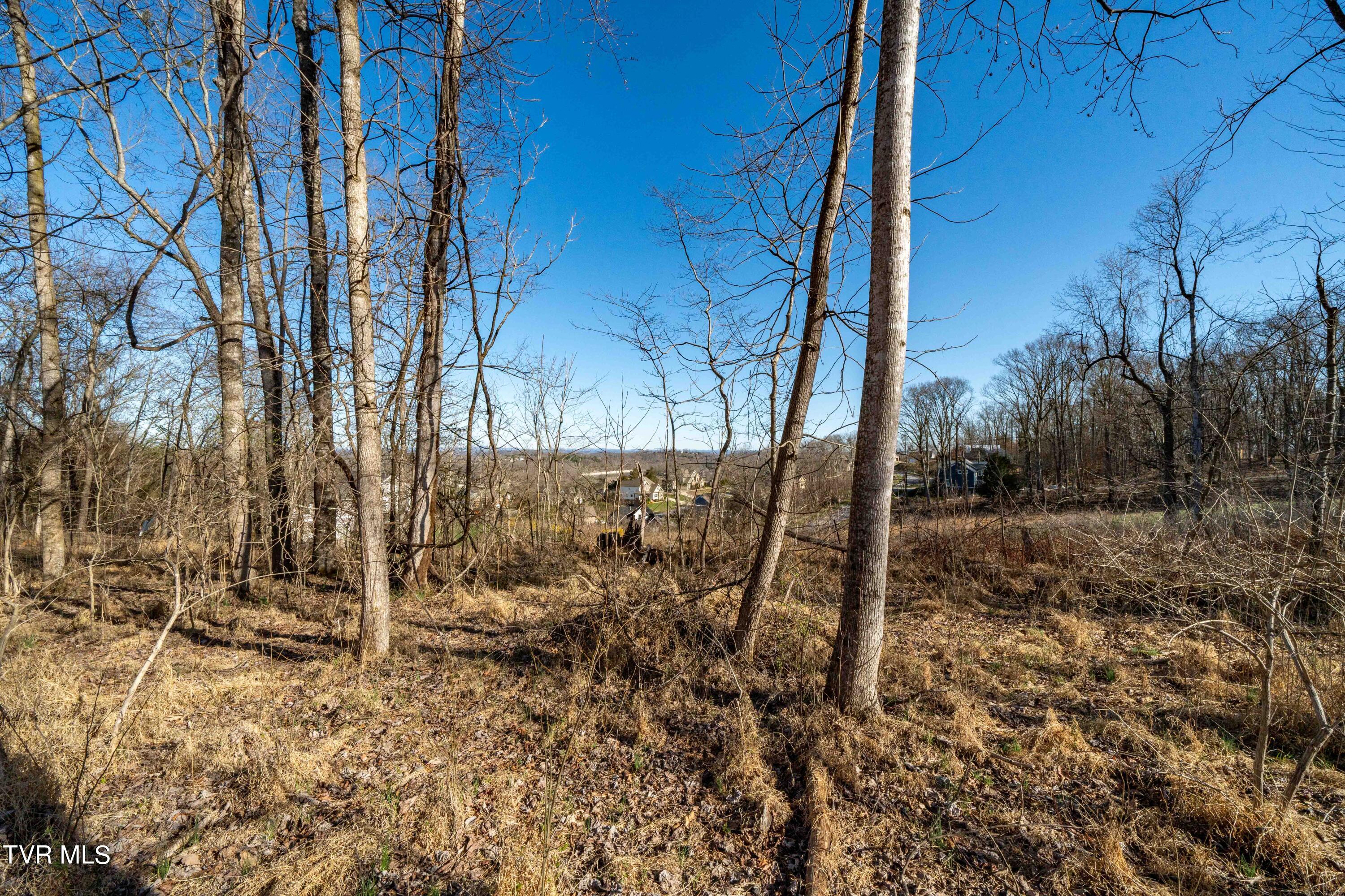 1579 Becky Drive, Johnson City, Tennessee image 16