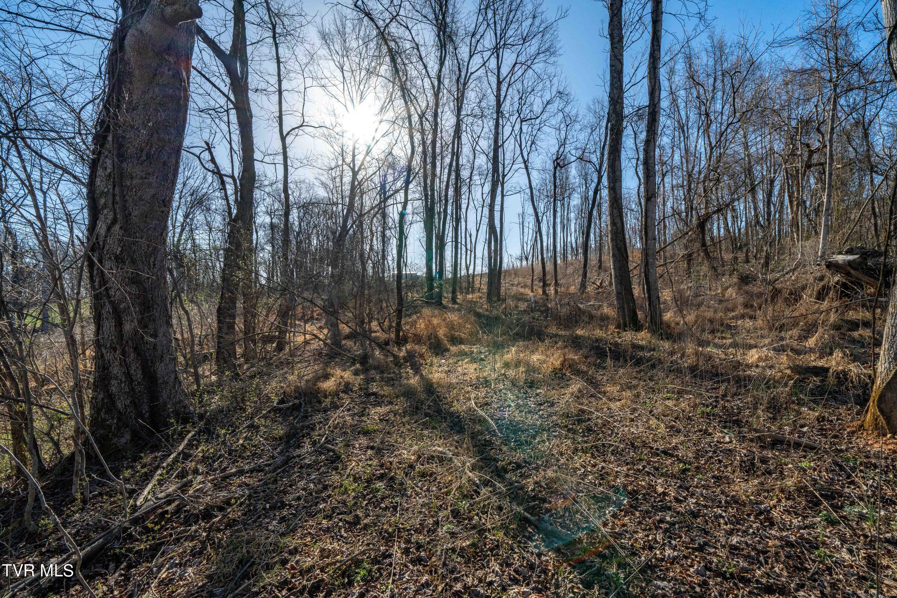 1579 Becky Drive, Johnson City, Tennessee image 13