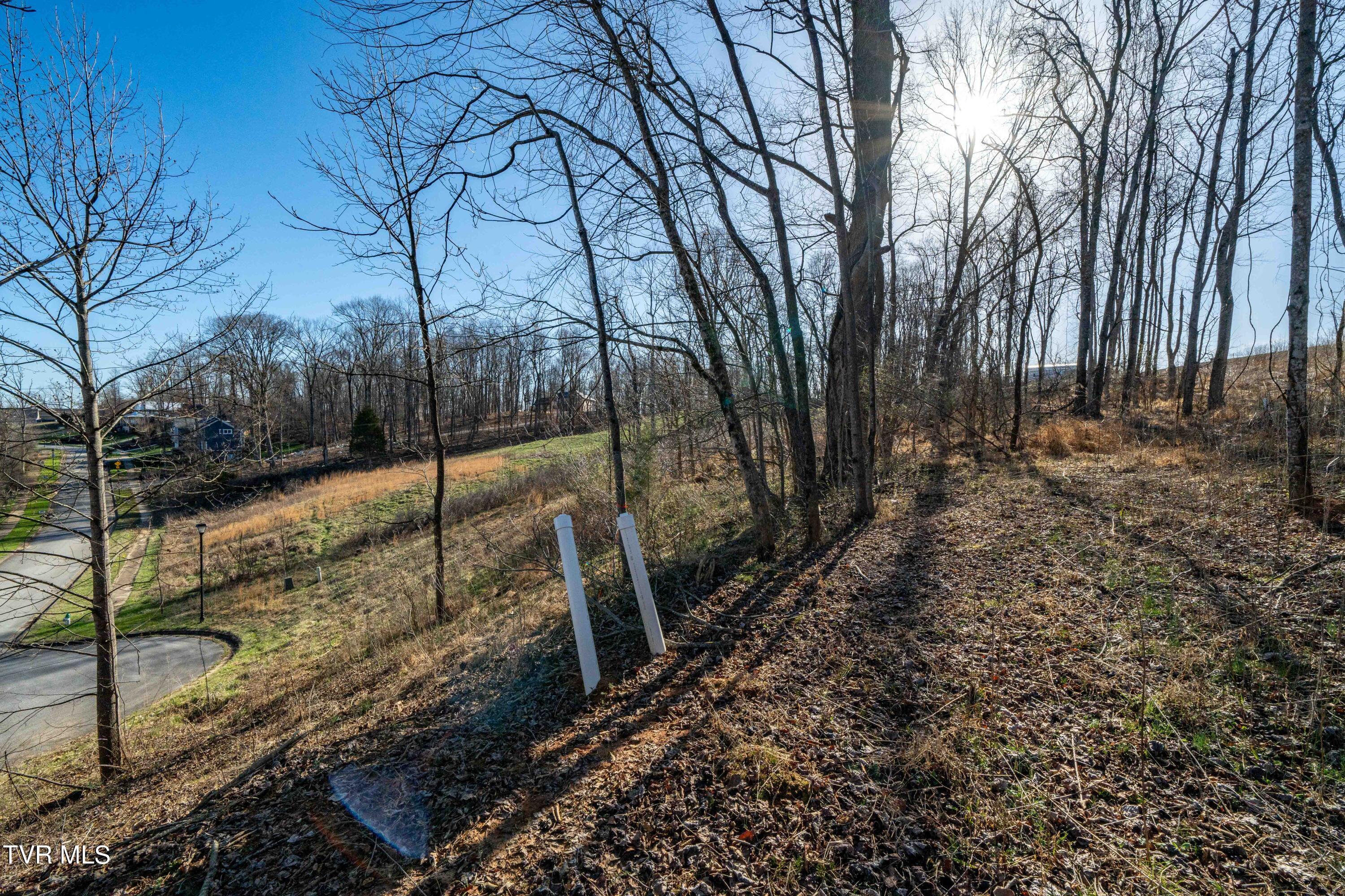 1579 Becky Drive, Johnson City, Tennessee image 12