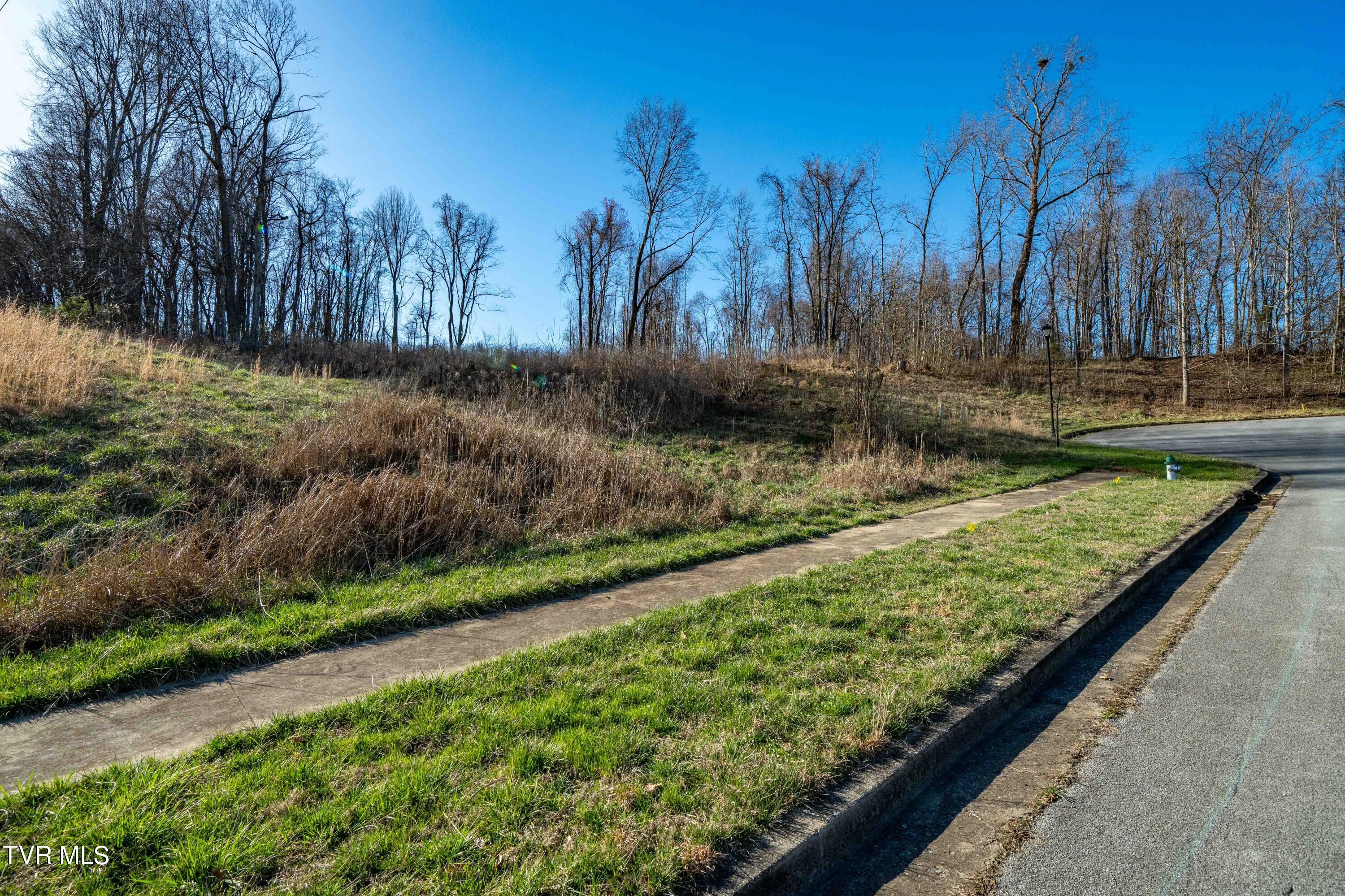1579 Becky Drive, Johnson City, Tennessee image 8