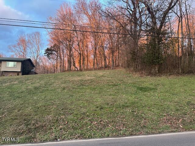 Lot 15 Telford Road, Telford, Tennessee image 3