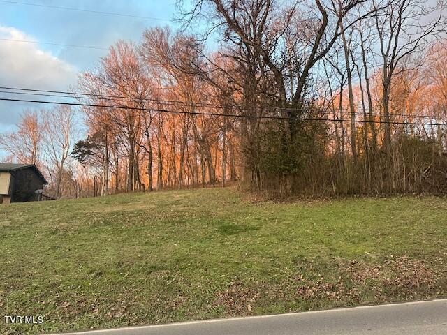 Lot 15 Telford Road, Telford, Tennessee image 4