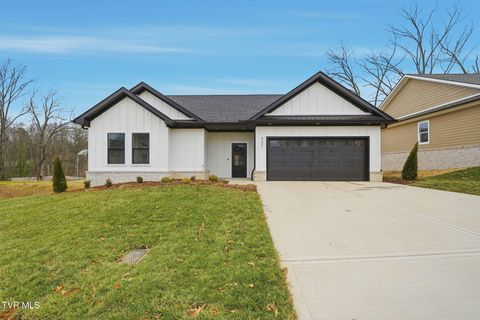 Photo of 337 Ty's Place, Kingsport, TN 37663 (MLS # 9989530)