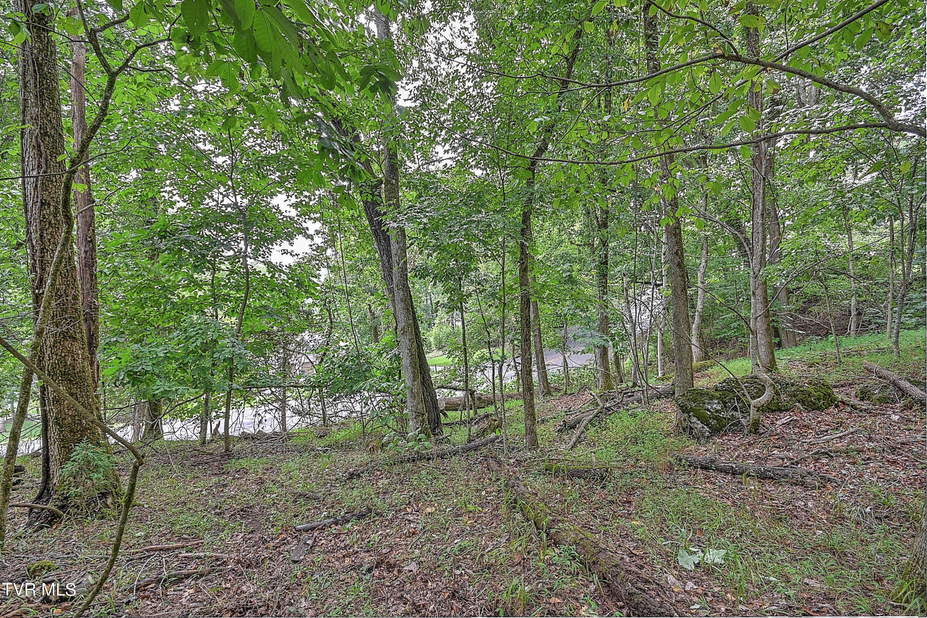 497 Pitt Road, Kingsport, Tennessee image 2