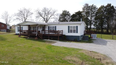 Homes For Sale - 4250 Mohawk Road<br/> Mohawk, TN 37810