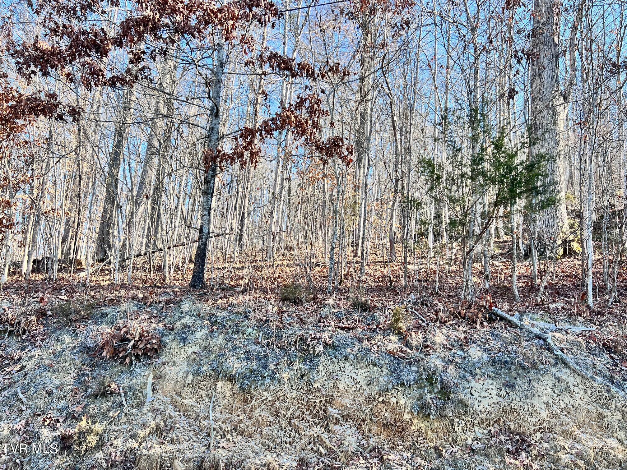 Tract 7 Bundren Mountain Road, Tazewell, Tennessee image 6