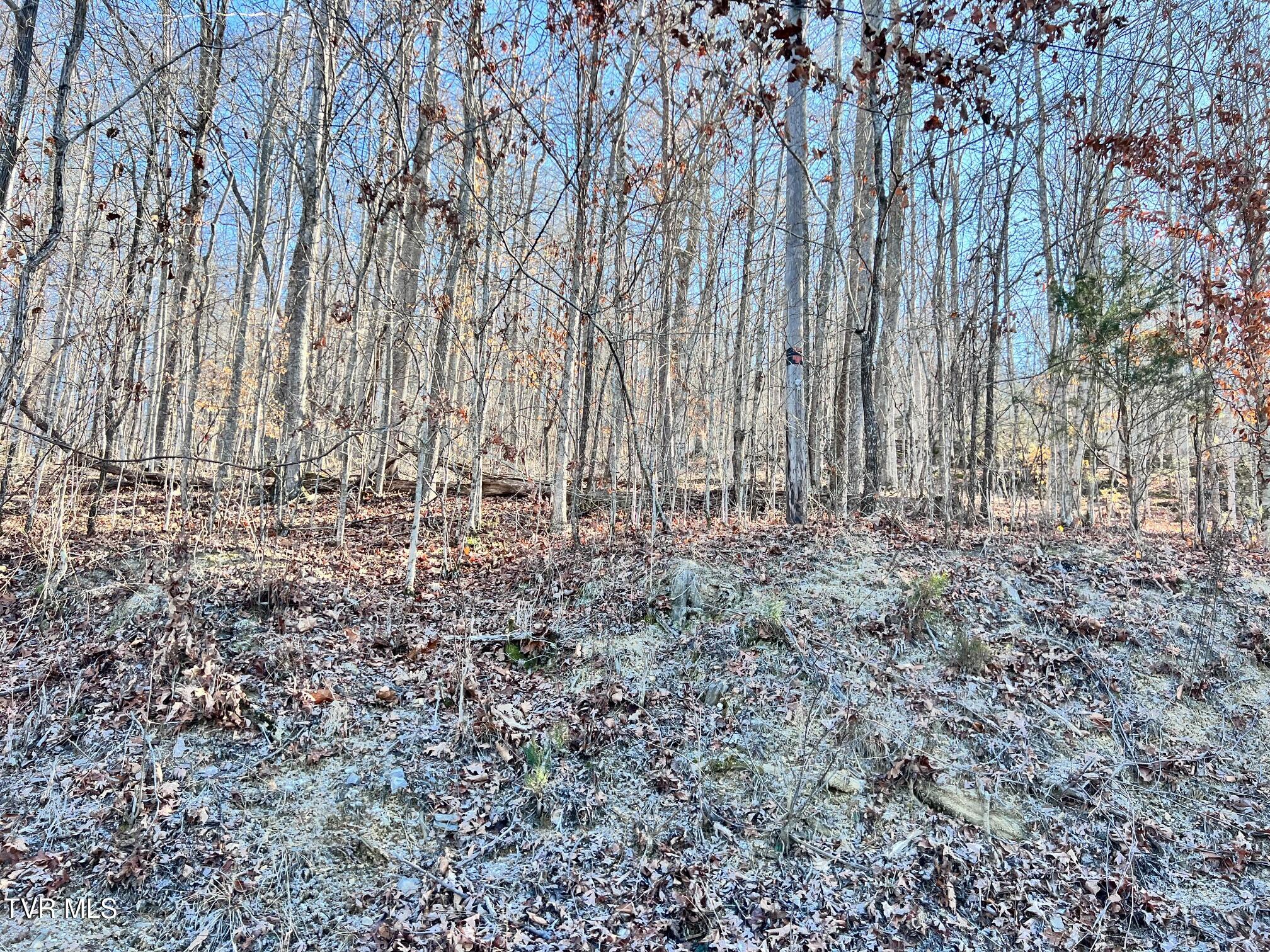 Tract 7 Bundren Mountain Road, Tazewell, Tennessee image 4