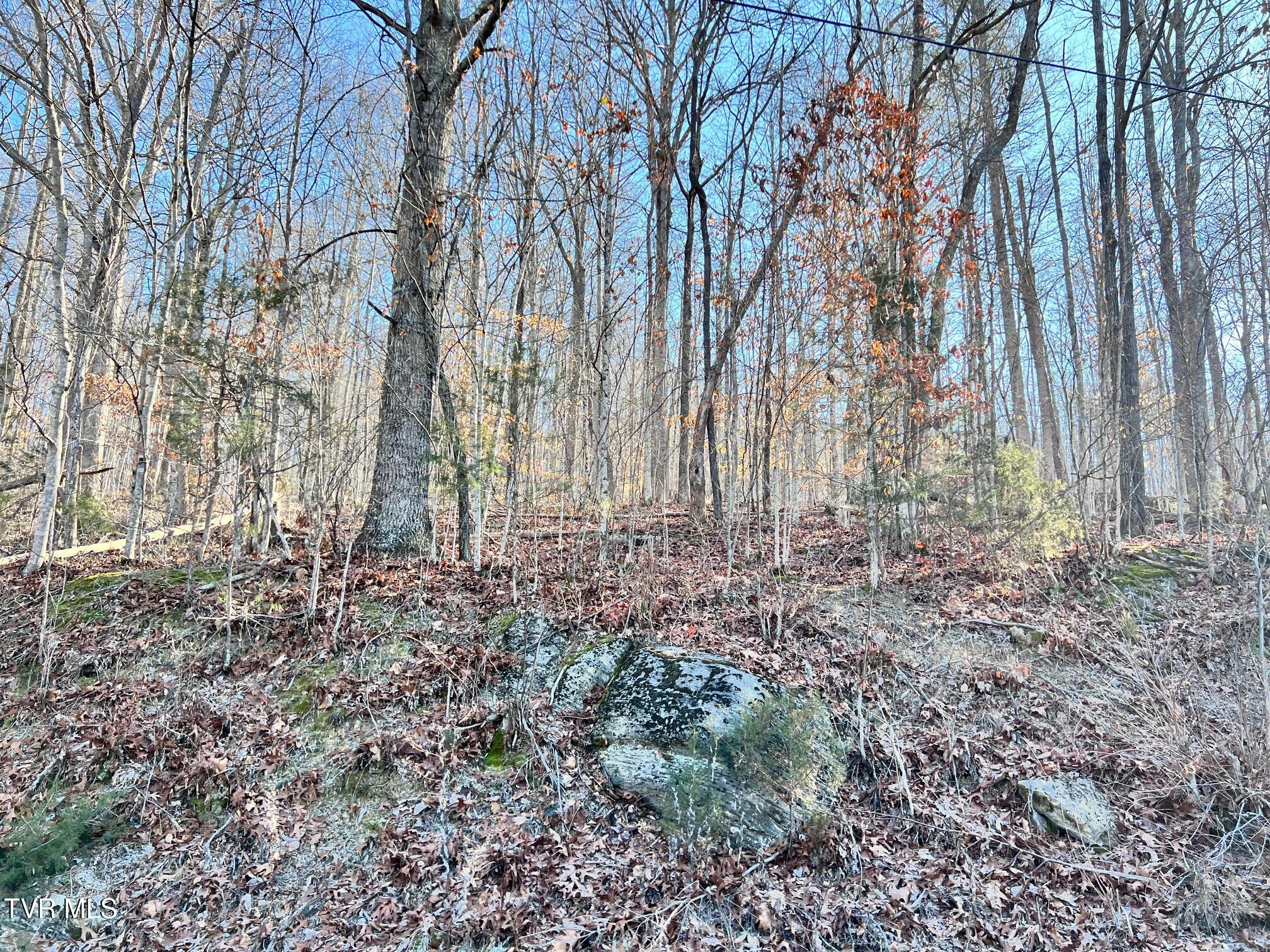 Tract 7 Bundren Mountain Road, Tazewell, Tennessee image 3