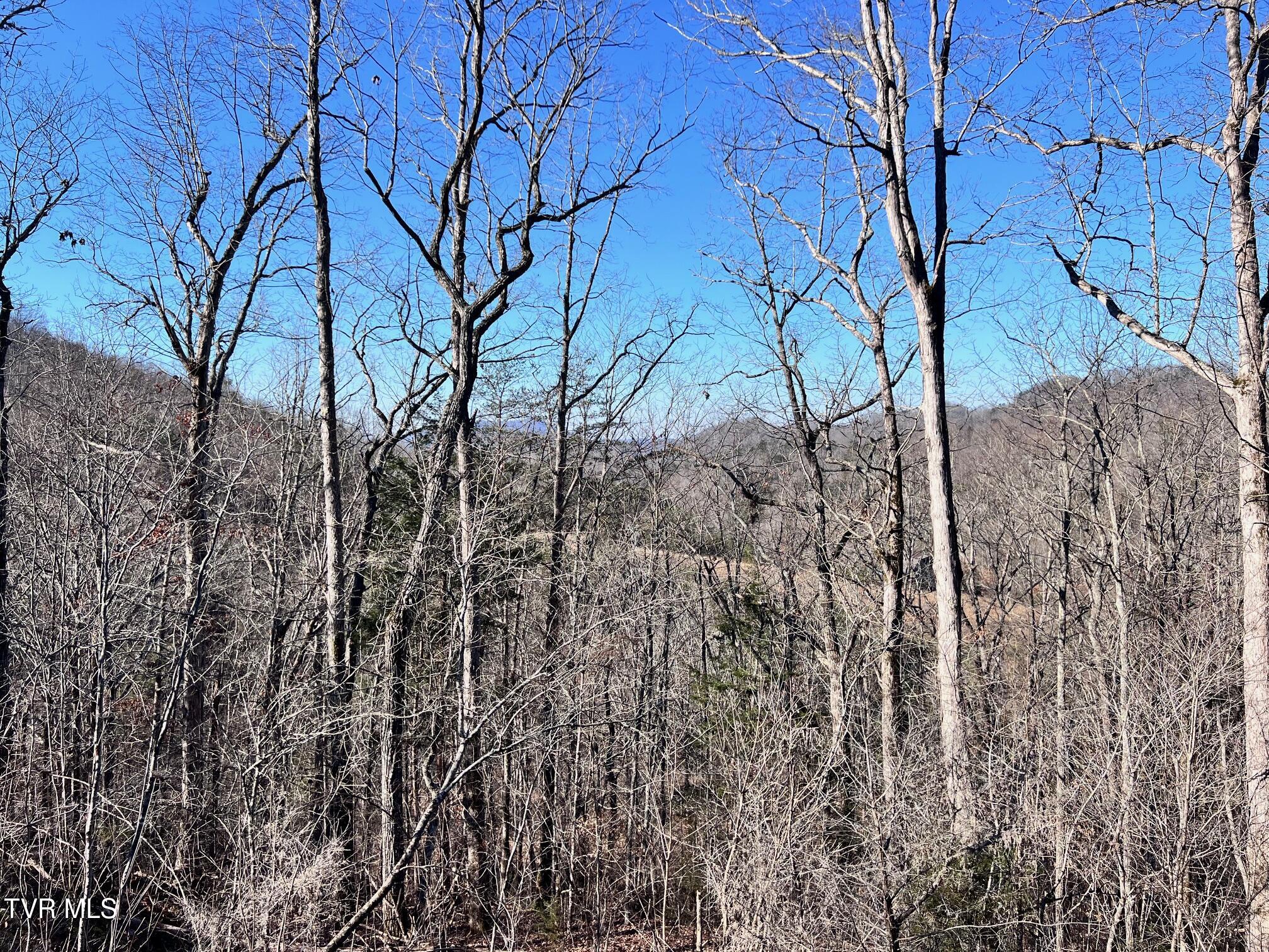 Tract 7 Bundren Mountain Road, Tazewell, Tennessee image 5