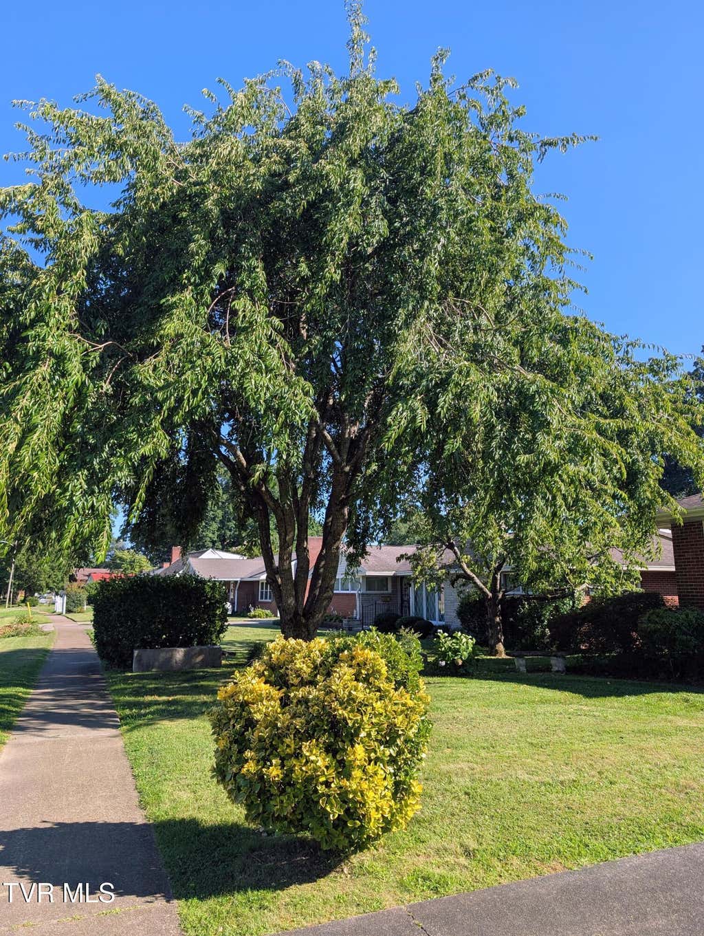 Photo of 1801 Sevier Avenue, Kingsport, TN 37664 (MLS # 9999007)