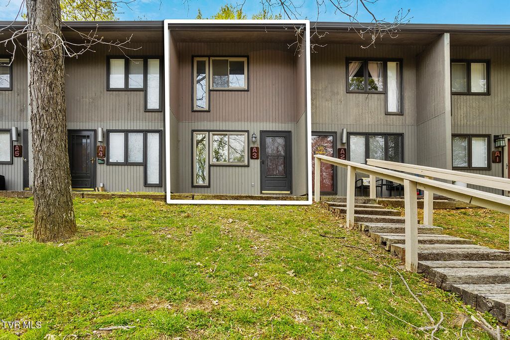Photo of 115 Beechnut Street #A3, Johnson City, TN 37601 (MLS # 9995576)