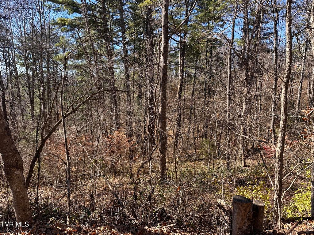 Photo of Tbd Longview Drive, Saint Paul, VA 24283 (MLS # 9988396)