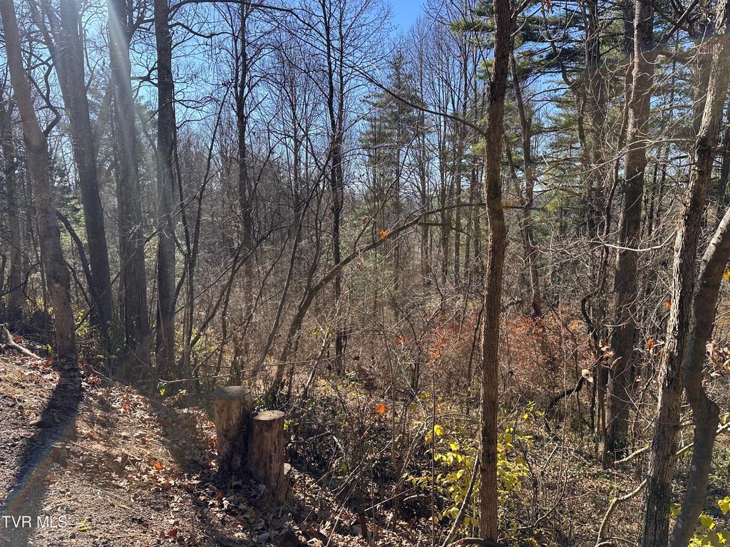 Photo of Tbd Longview Drive, Saint Paul, VA 24283 (MLS # 9988396)