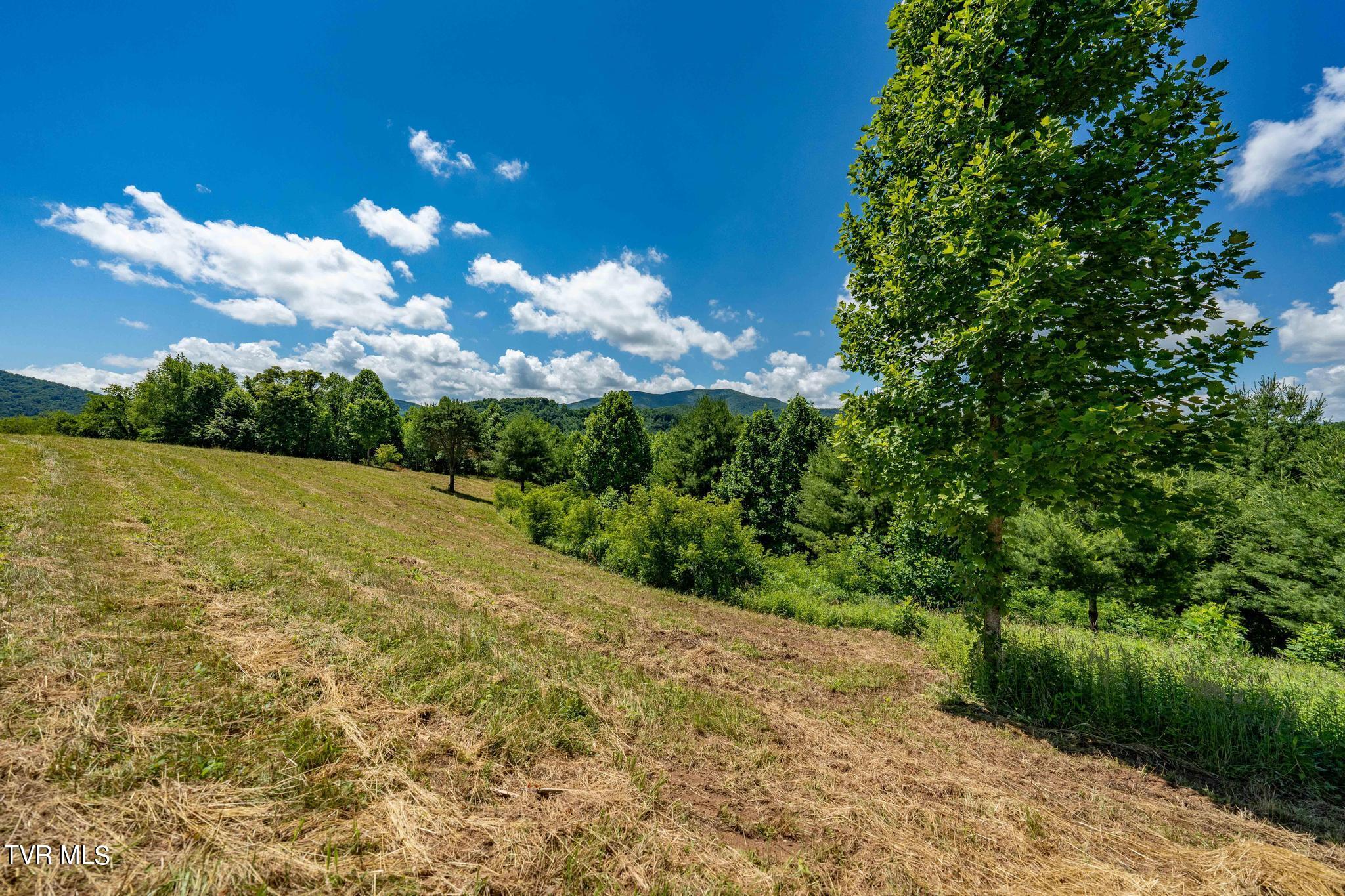 Lot 45 Eagle Ridge Parkway, Butler, Tennessee image 11