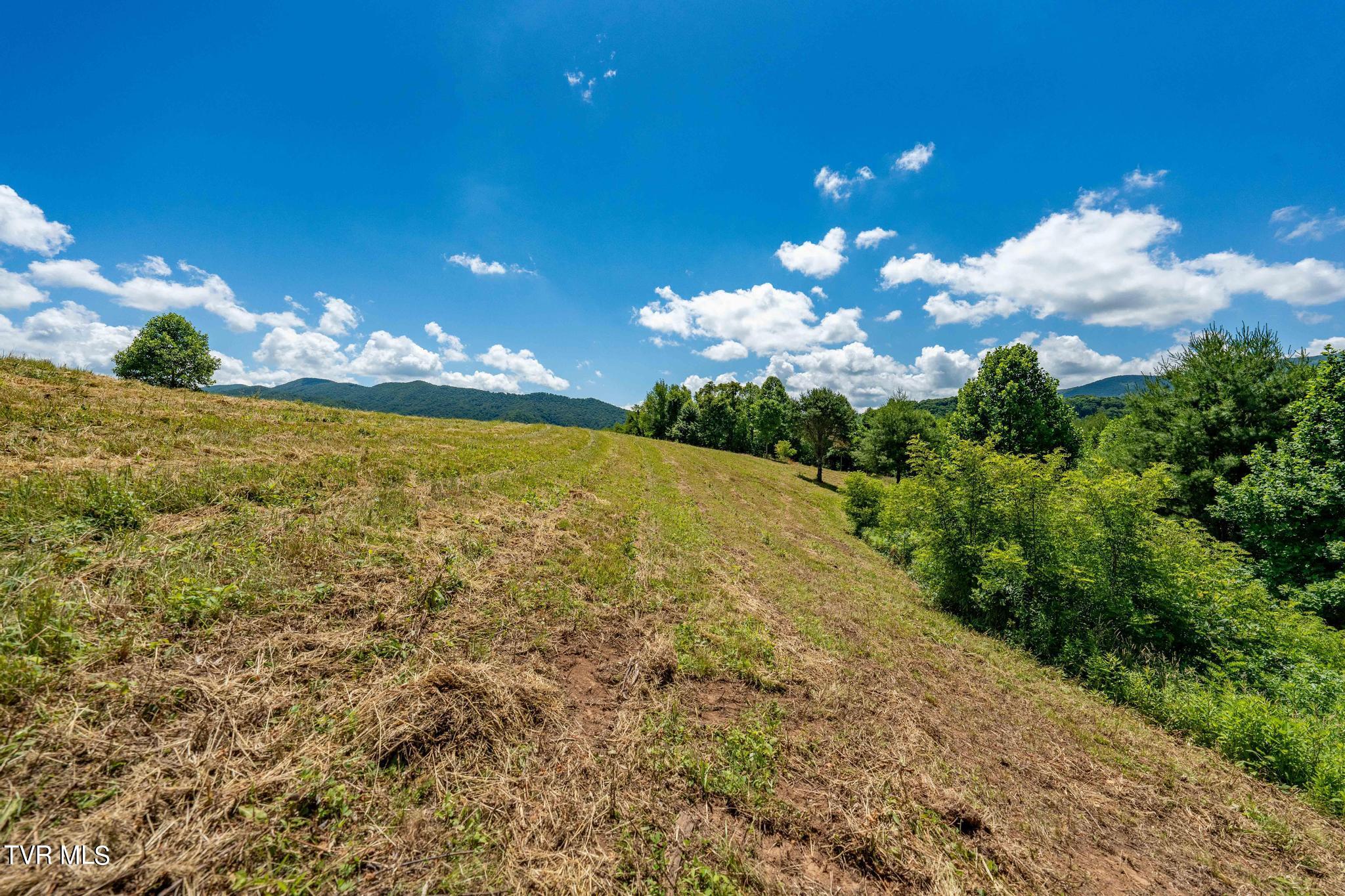 Lot 45 Eagle Ridge Parkway, Butler, Tennessee image 10