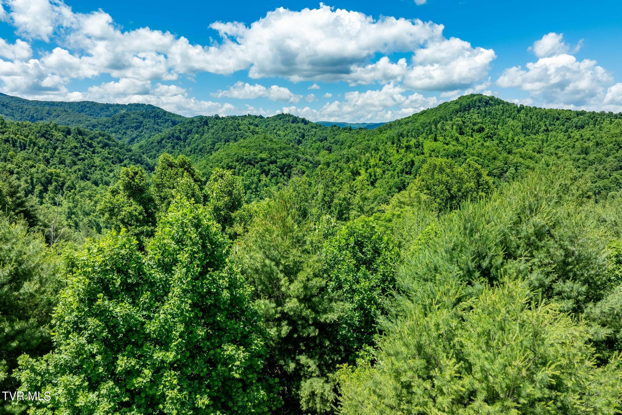 Lot 45 Eagle Ridge Parkway, Butler, Tennessee image 15