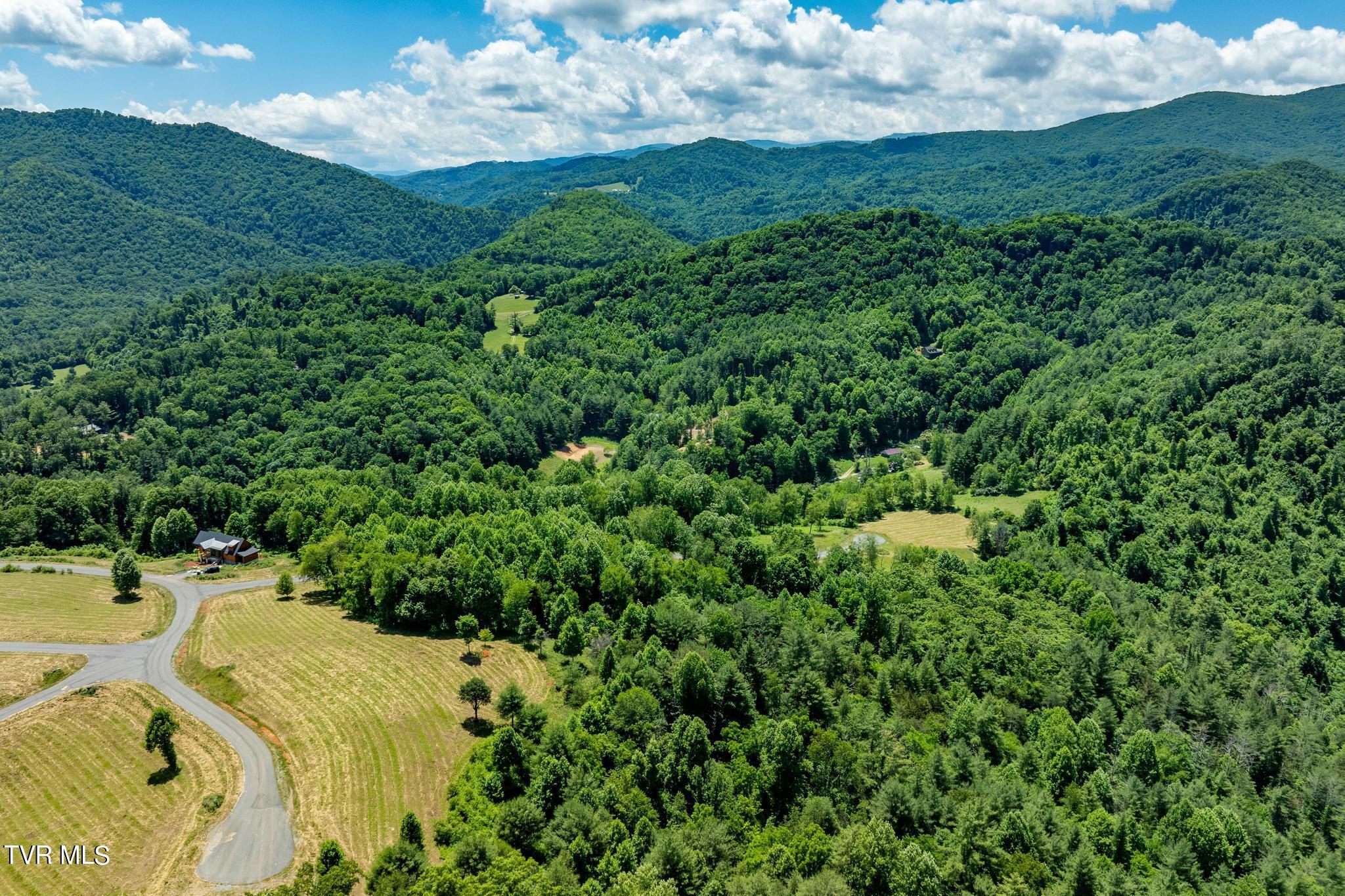 Lot 45 Eagle Ridge Parkway, Butler, Tennessee image 28
