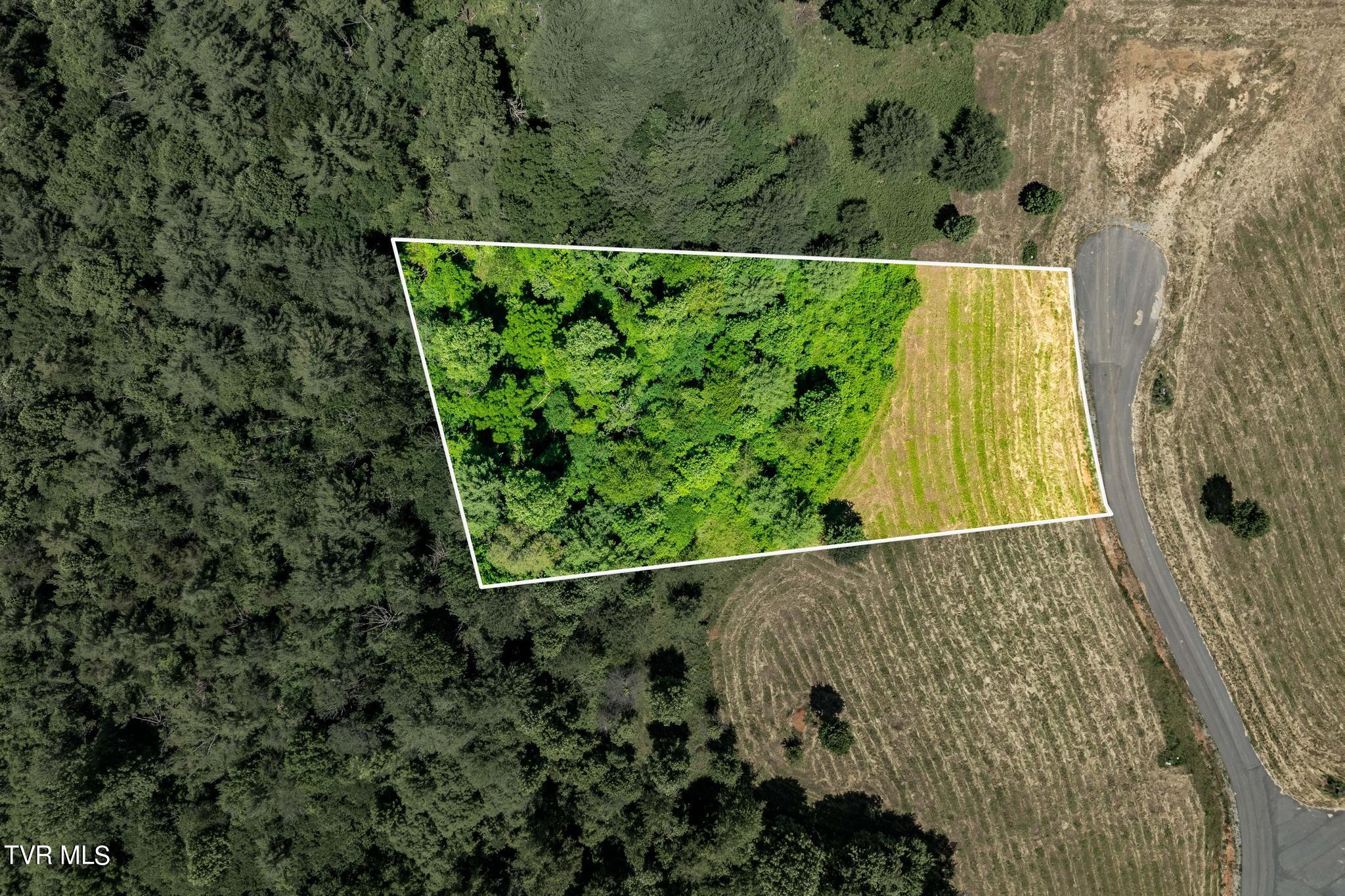 Lot 45 Eagle Ridge Parkway, Butler, Tennessee image 5